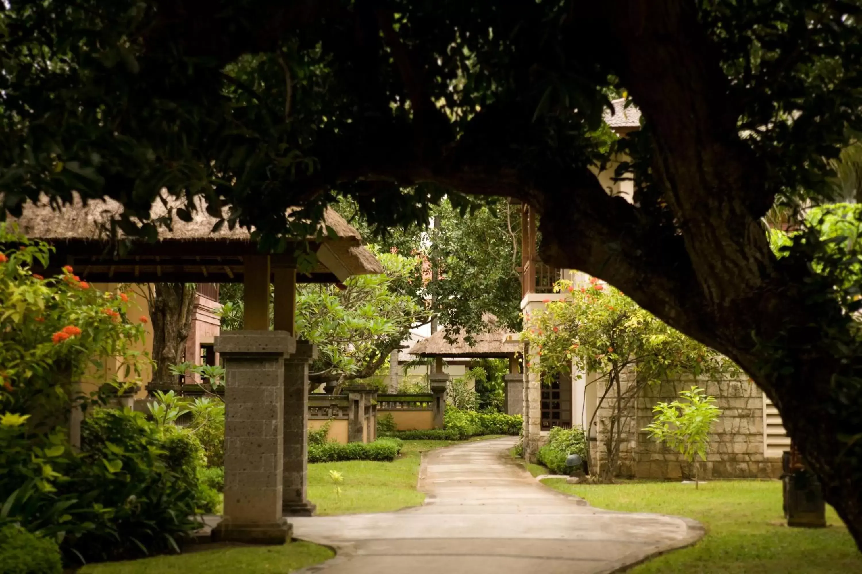Natural landscape, Property Building in The Patra Bali Resort & Villas - CHSE Certified