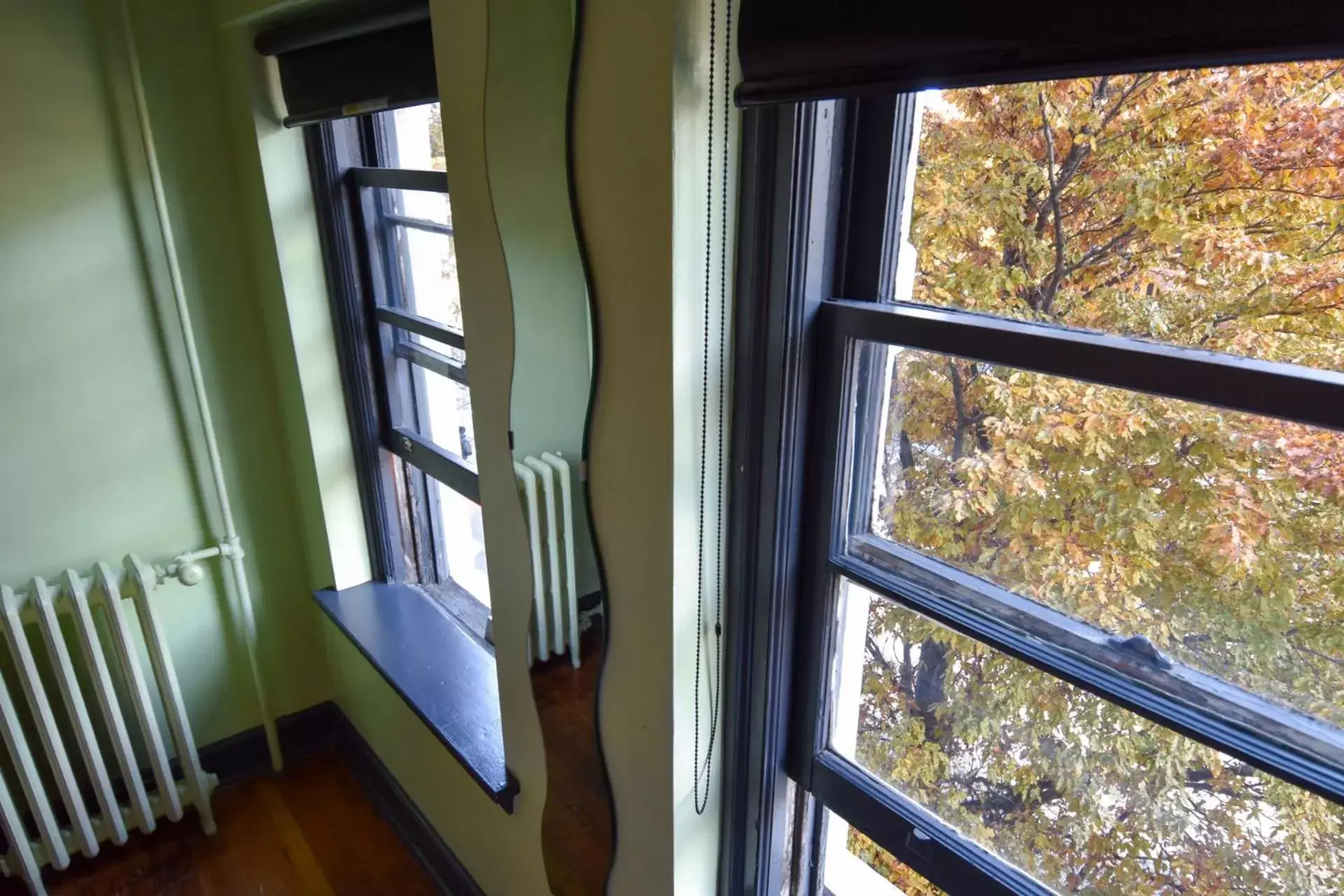 View (from property/room) in Ocean Island Inn | Backpackers | Suites View (from property/room) in Ocean Island Inn | Backpackers | Suites