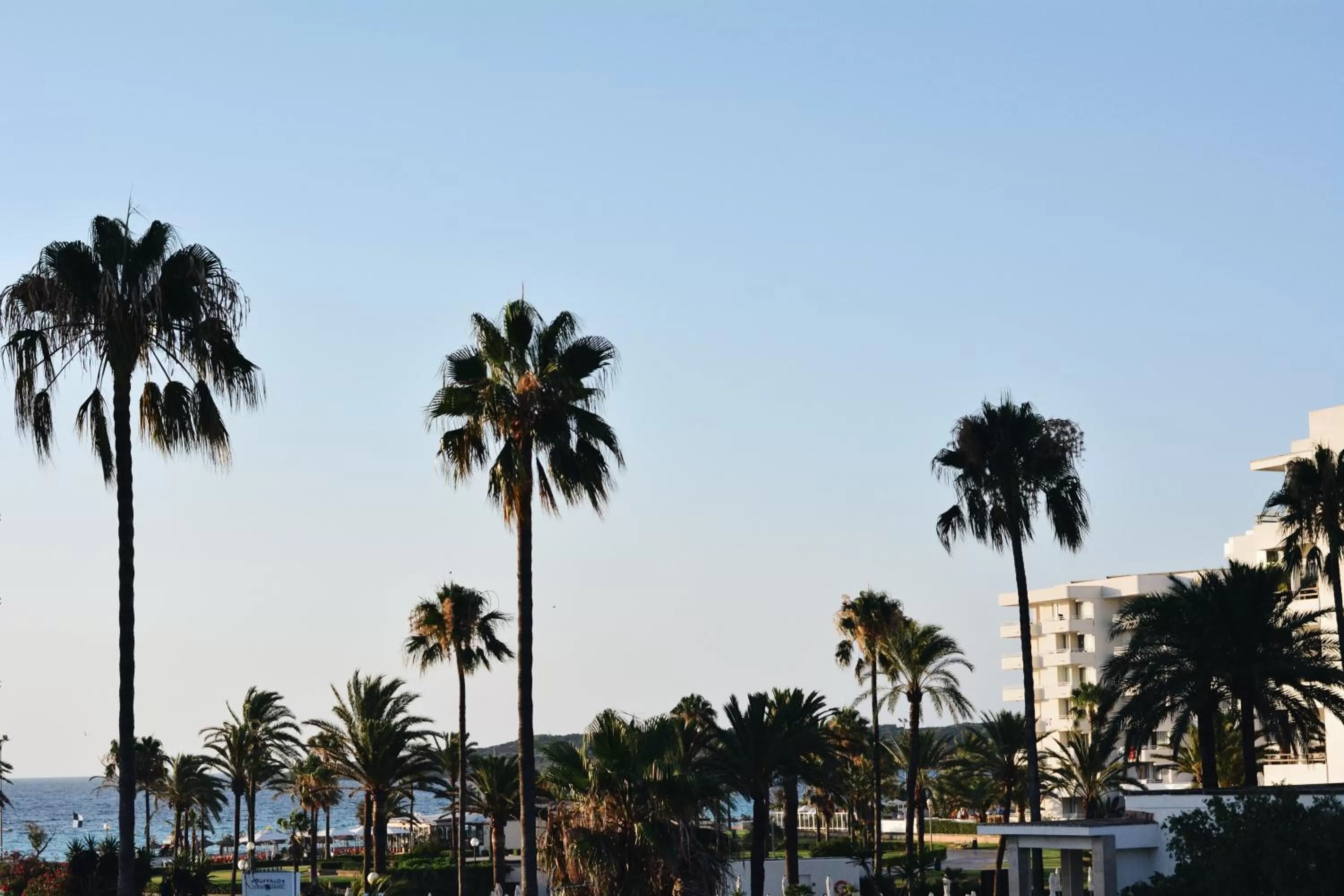 View (from property/room) in Villa Miel