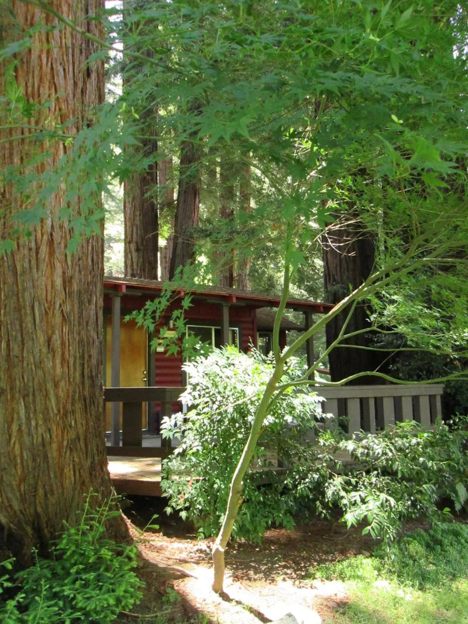 Property Building in Fern River Resort