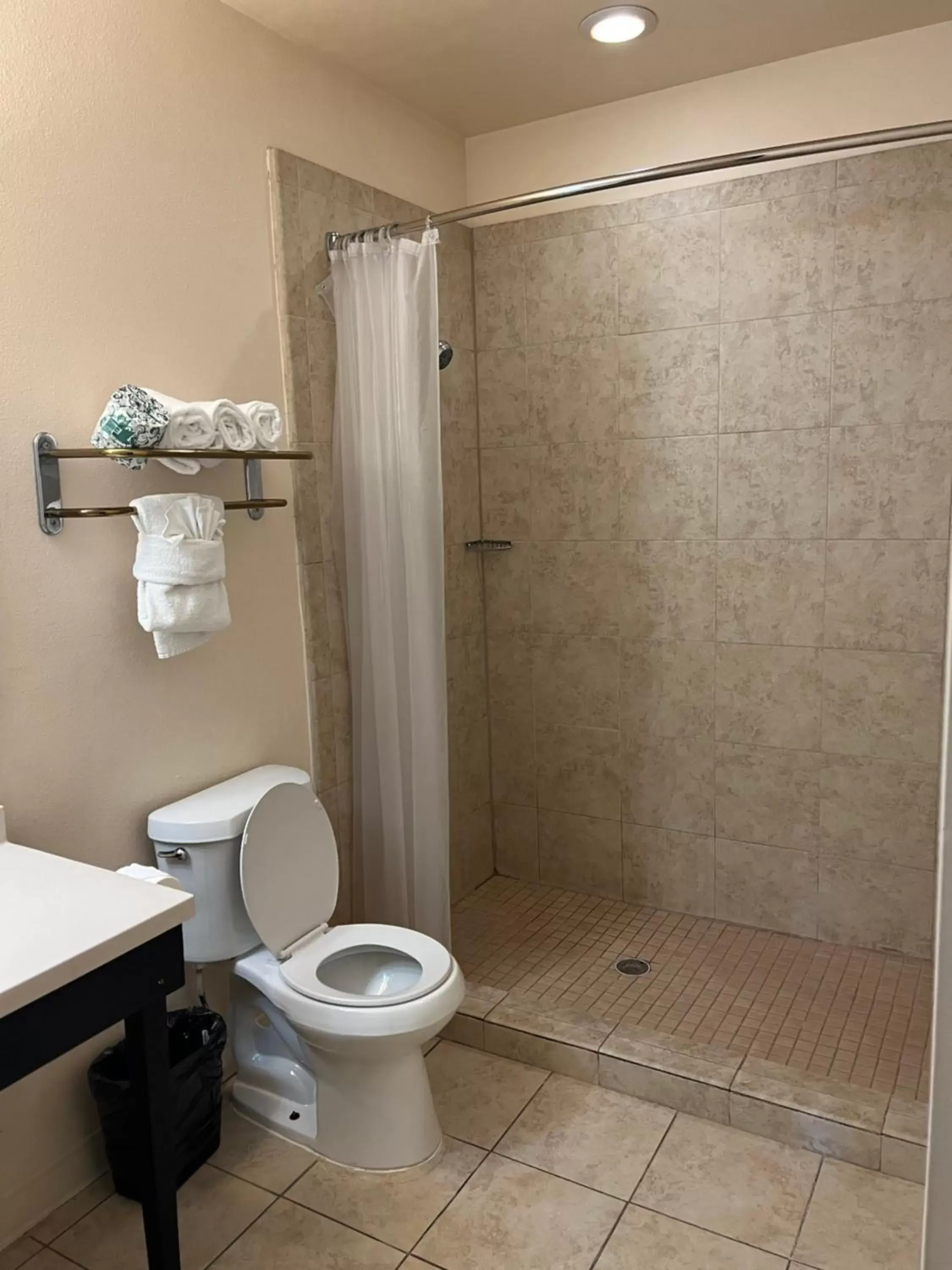 Bathroom in Sunchase Inn & Suites