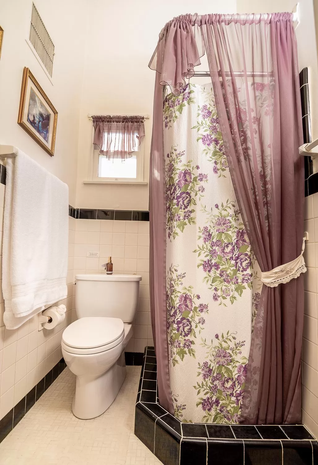 Shower in The Blenman Inn