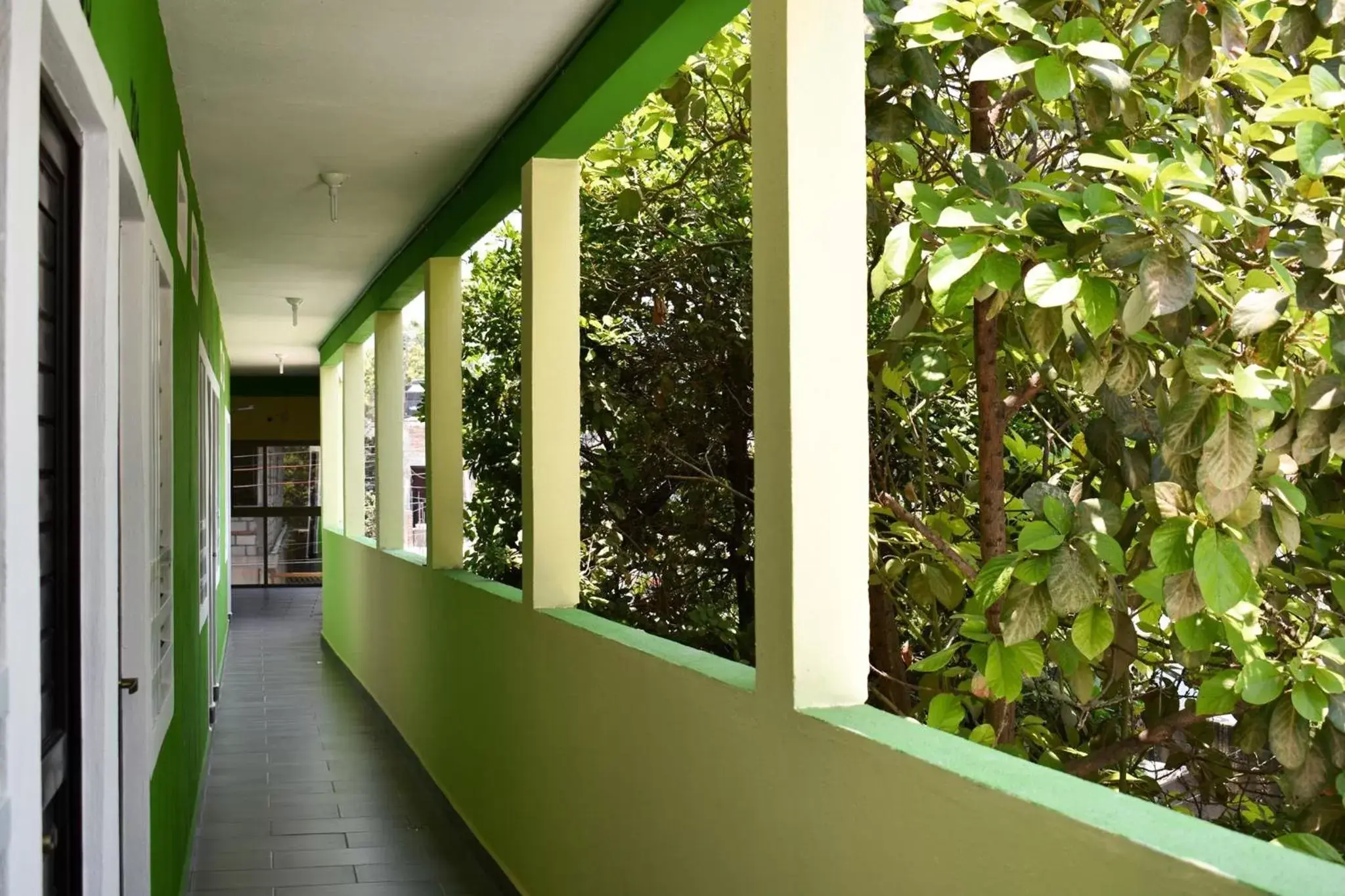 Balcony/Terrace in HOTEL LOS PINOS CENTRO