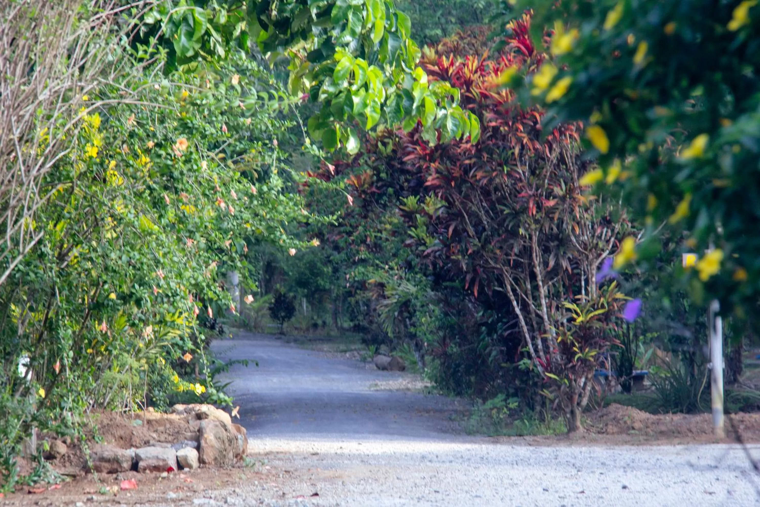 Garden in Khao Sok Palmview Resort