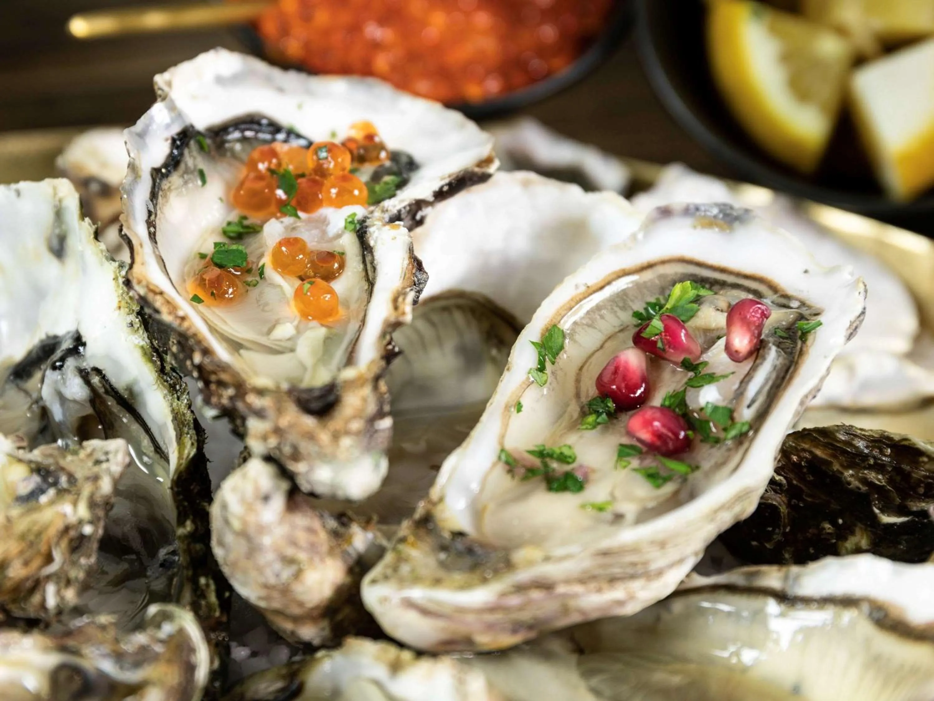 Restaurant/places to eat in Mercure Granville Le Grand Large