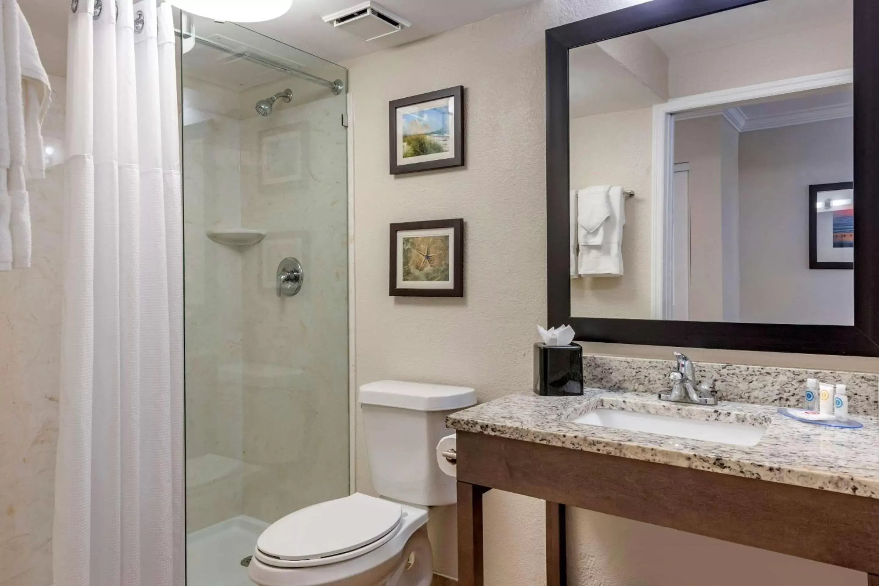 Photo of the whole room, Bathroom in Comfort Inn & Suites Daytona Beach Oceanfront