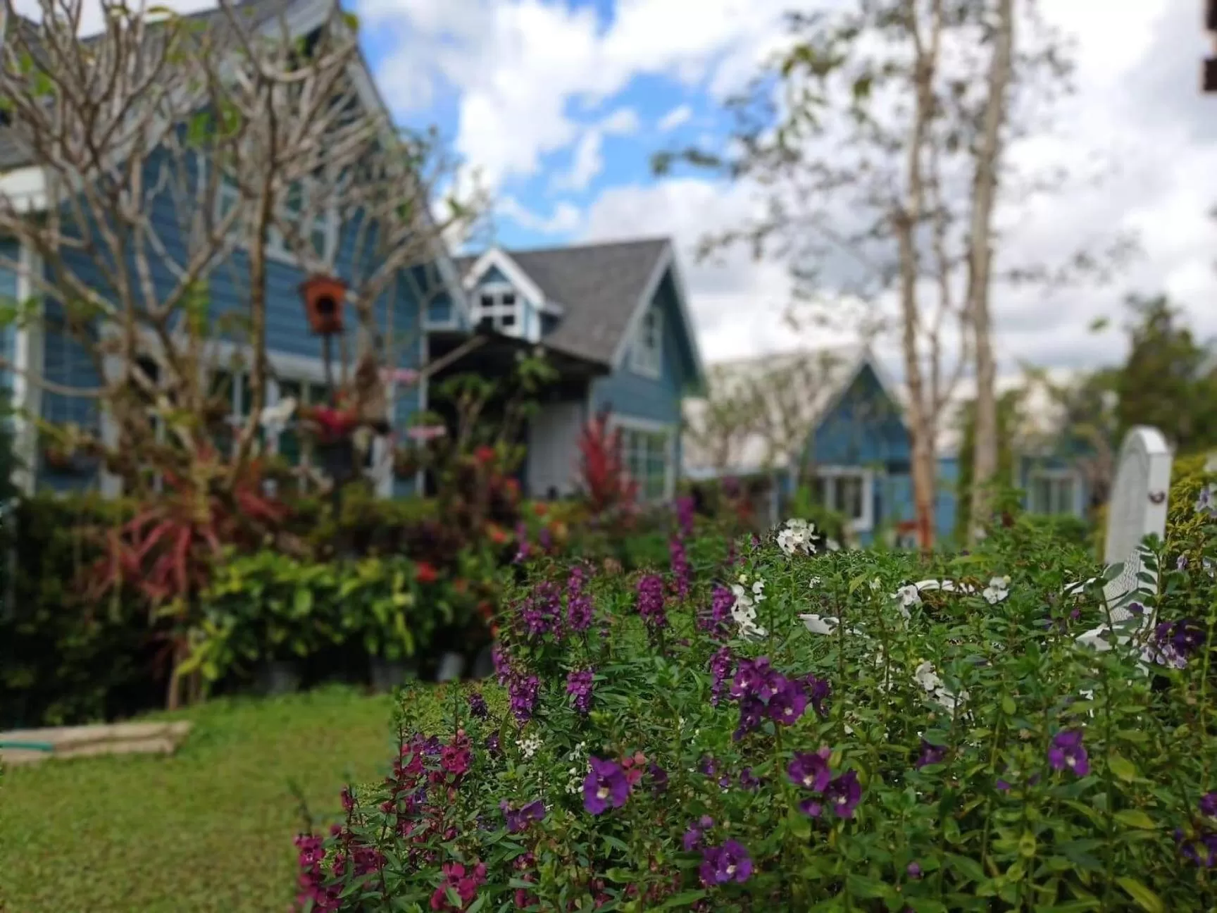 Baan JaoKorKluay บ้านเจ้ากอกล้วย