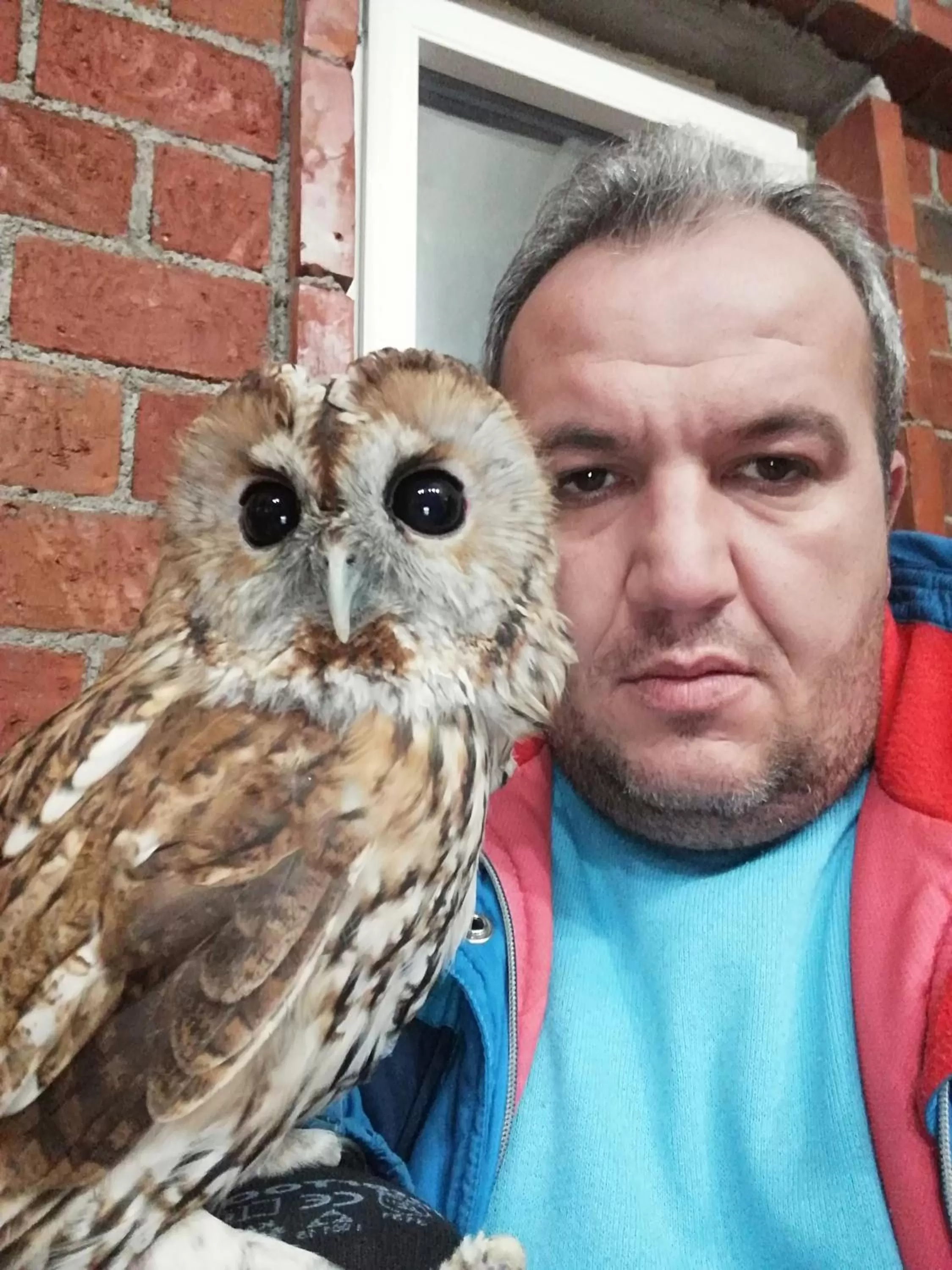 Animals in Etno selo Vile Jefimija, selo Preobrazenje, Vranje