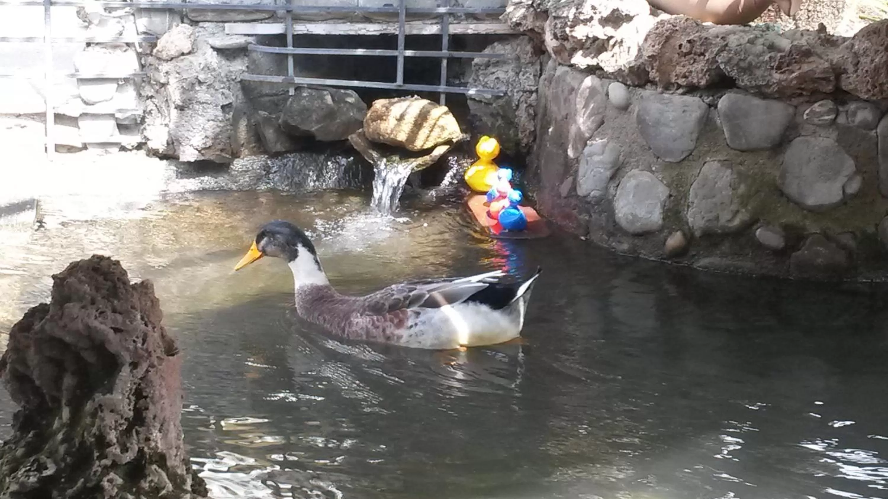 Decorative detail in Il Laghetto