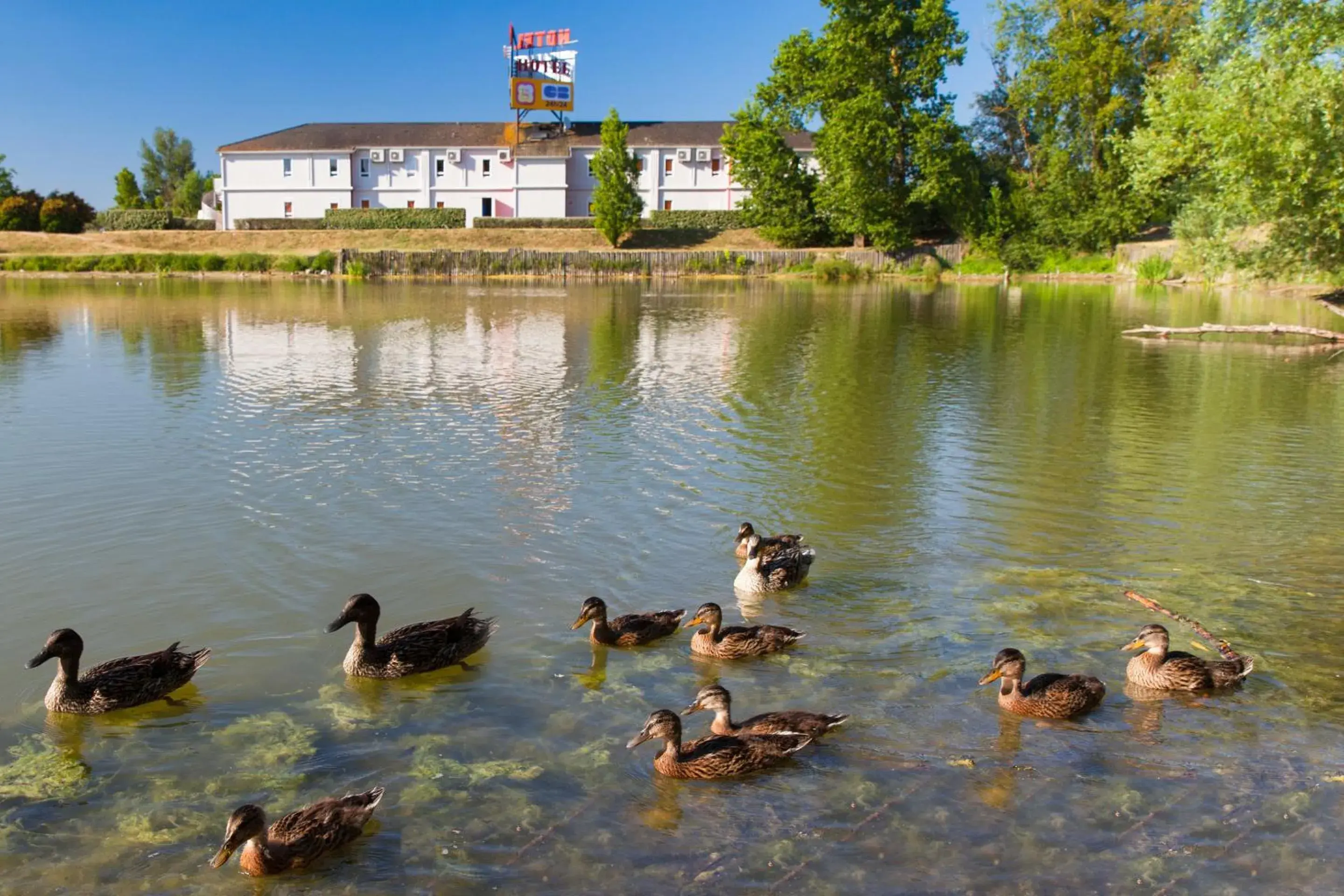 Lake view, Other Animals in HOTEL LE BORDEAUX LAC Originals Access - Ex P'tit Dej Hotel