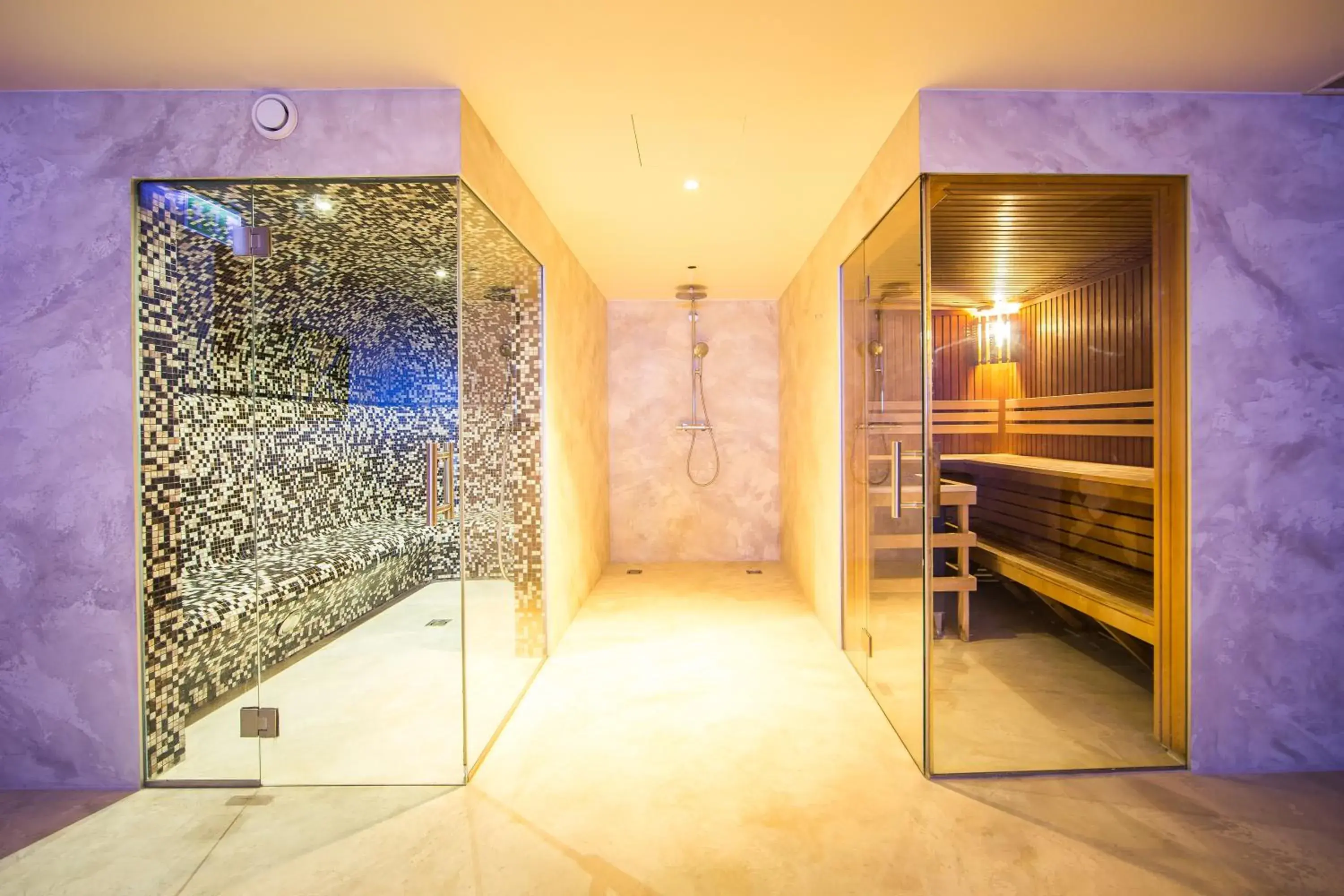 Spa and wellness centre/facilities in Mercure Riga Centre