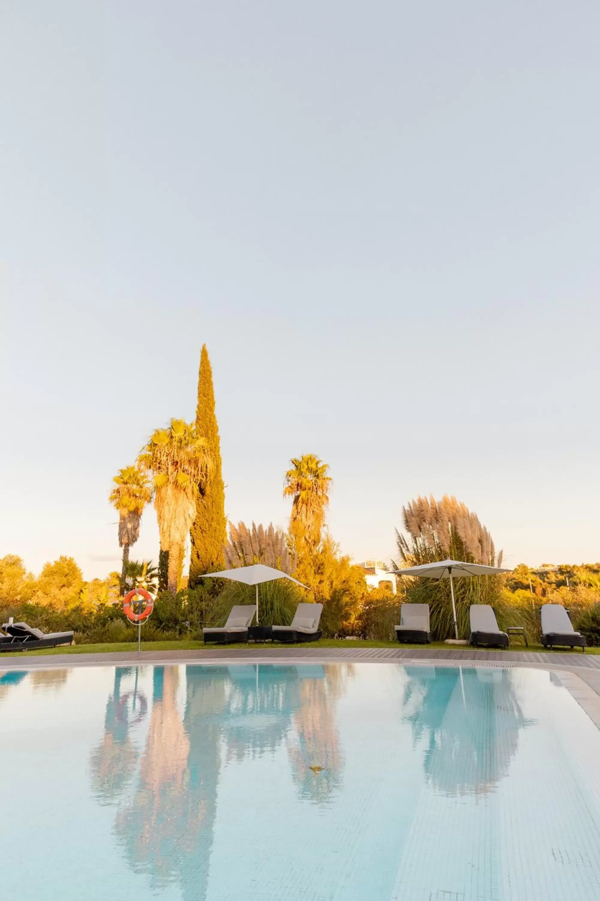 sunbed, Swimming Pool in Pelican Alvor