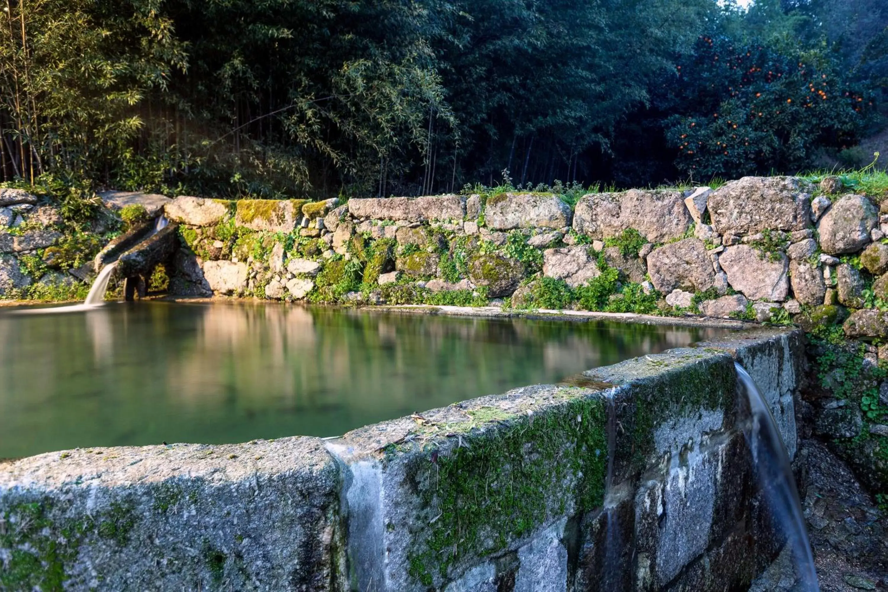 Garden in Douro Palace Hotel Resort & SPA