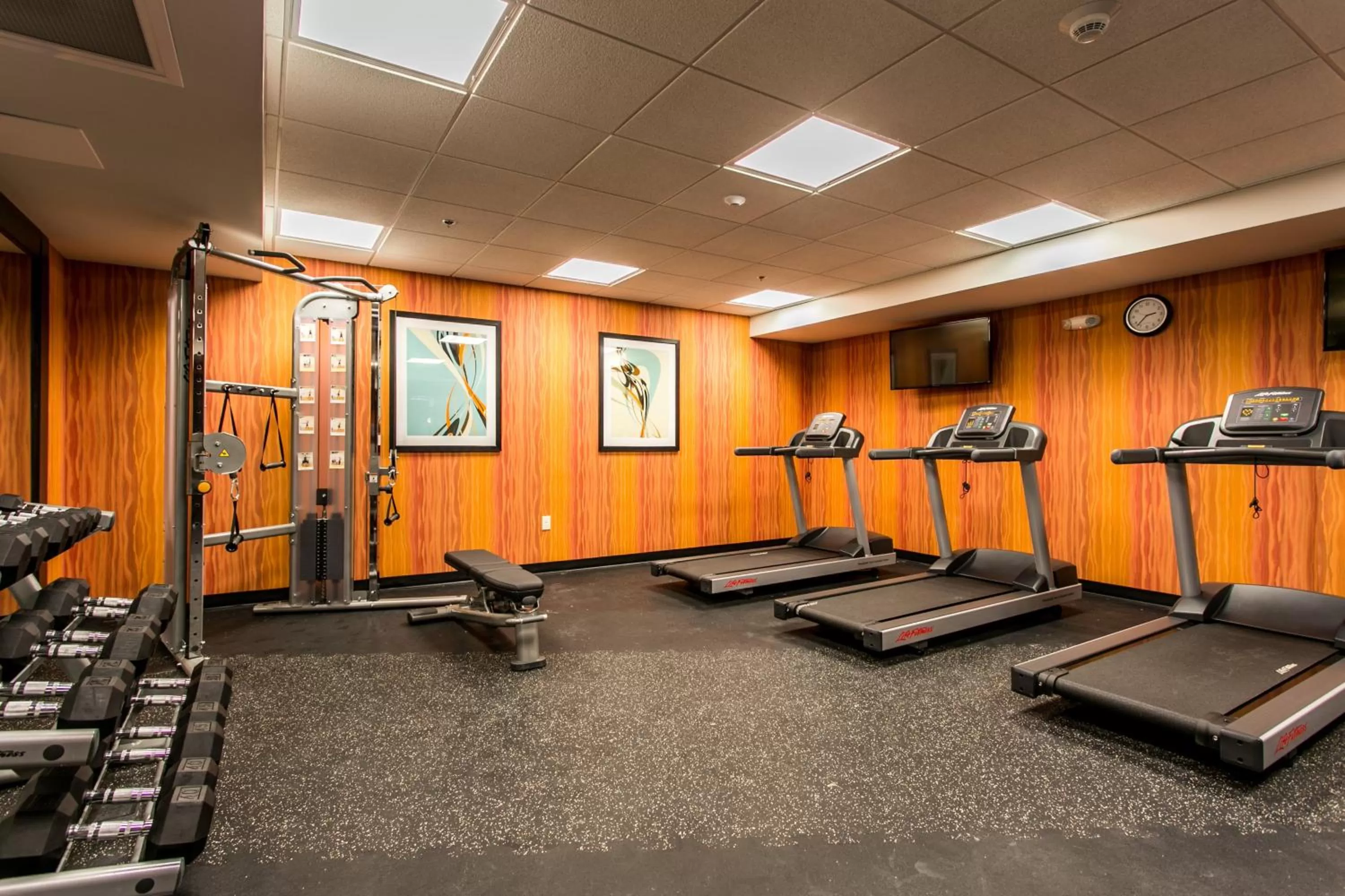 Fitness centre/facilities in Holiday Inn Hotel & Suites Chattanooga by IHG