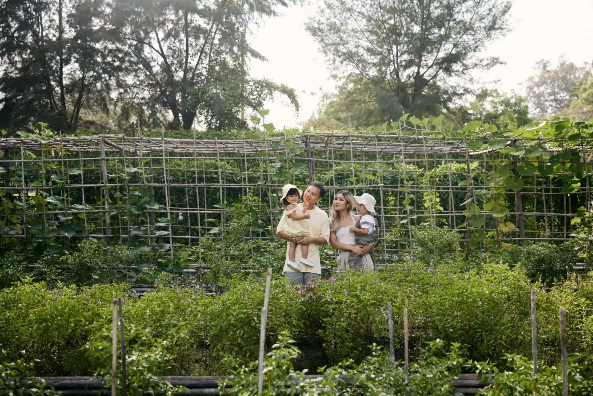 Activities in Dusit Thani Hua Hin