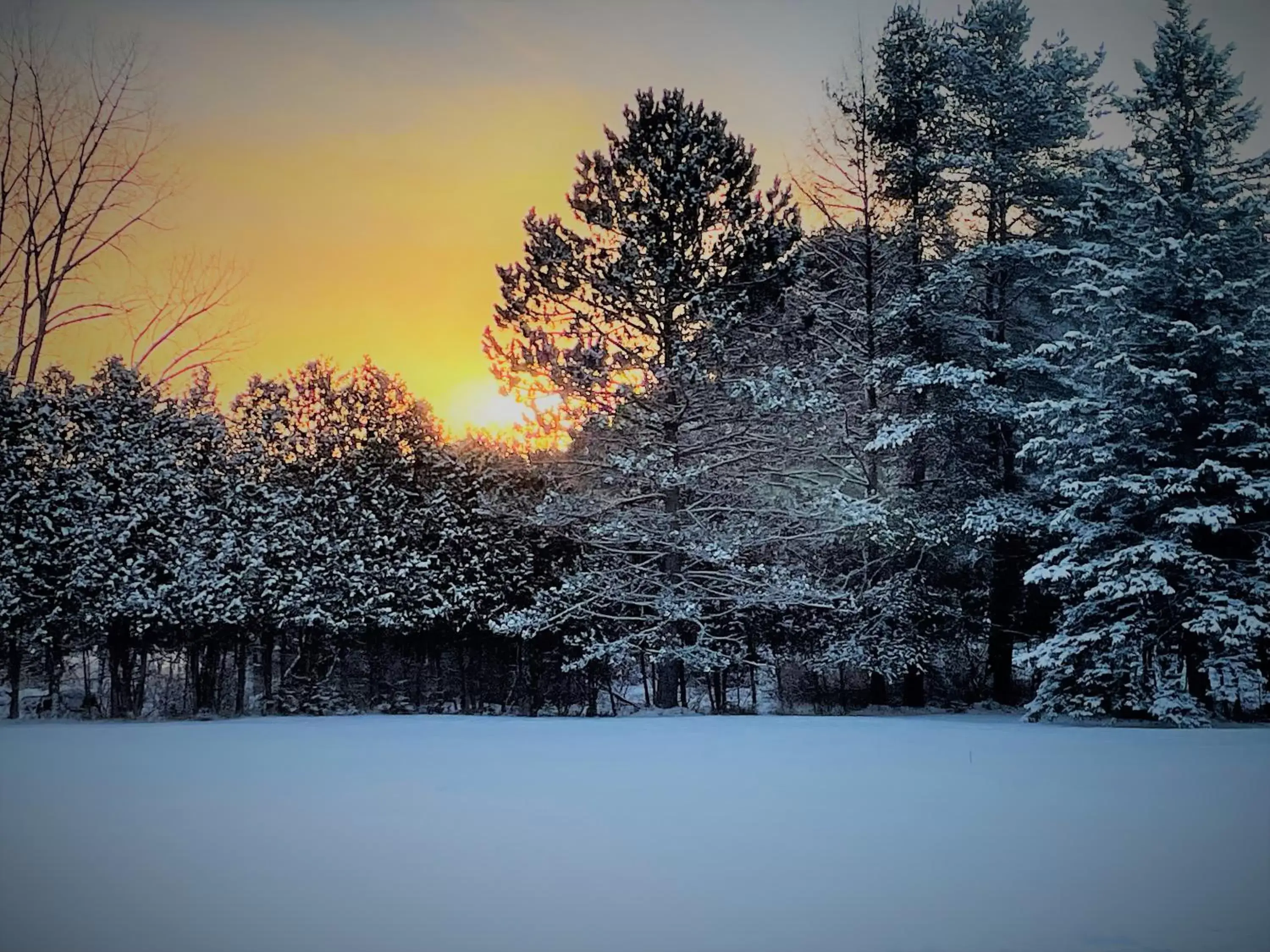 Natural landscape, Winter in Le Pimbina