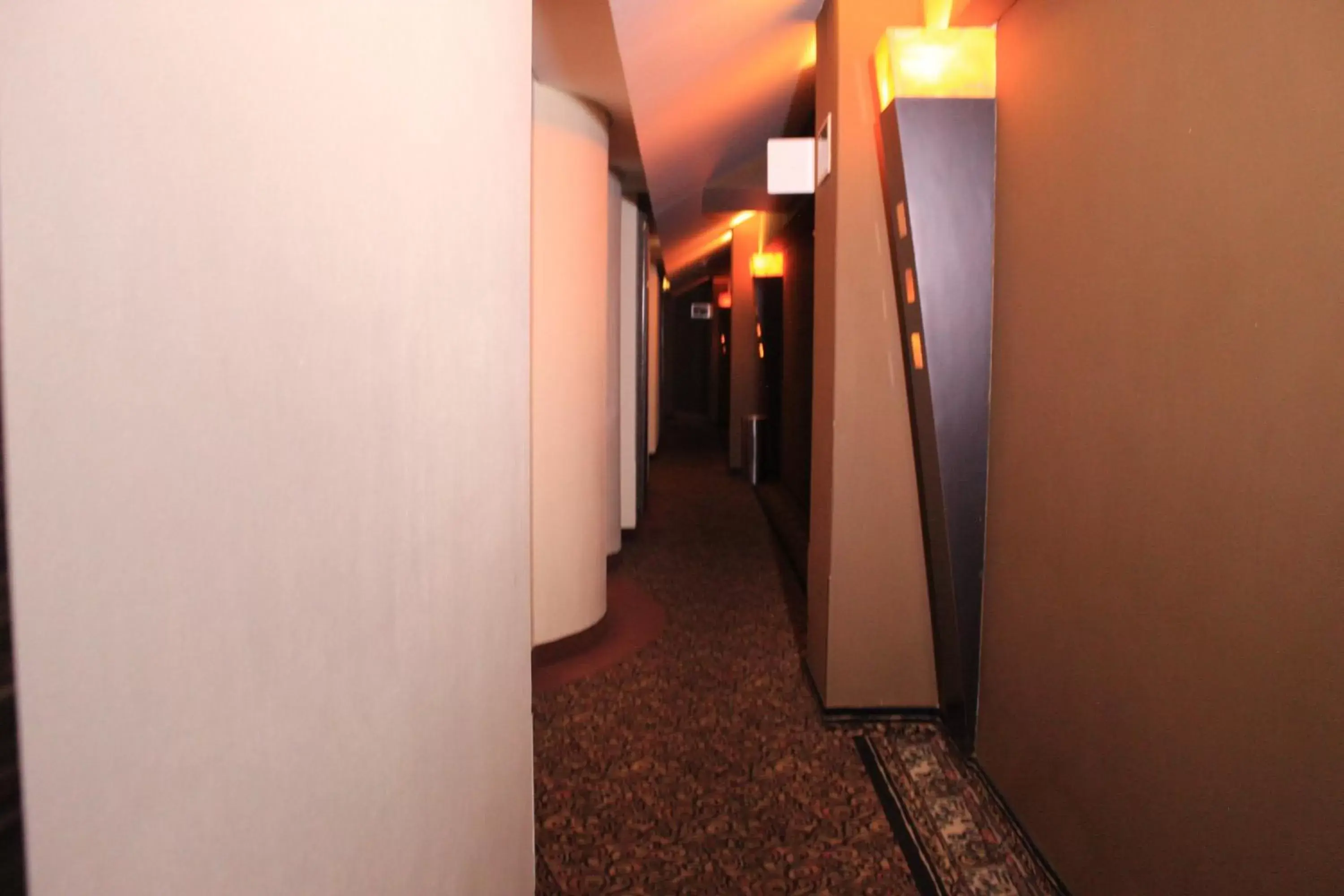 Area and facilities in Hotel Lua
