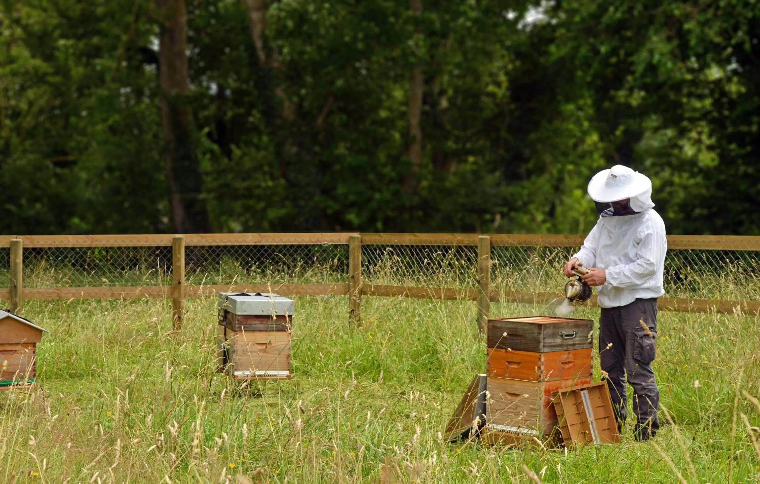 Pets in Château Saint Gilles - Bayeux