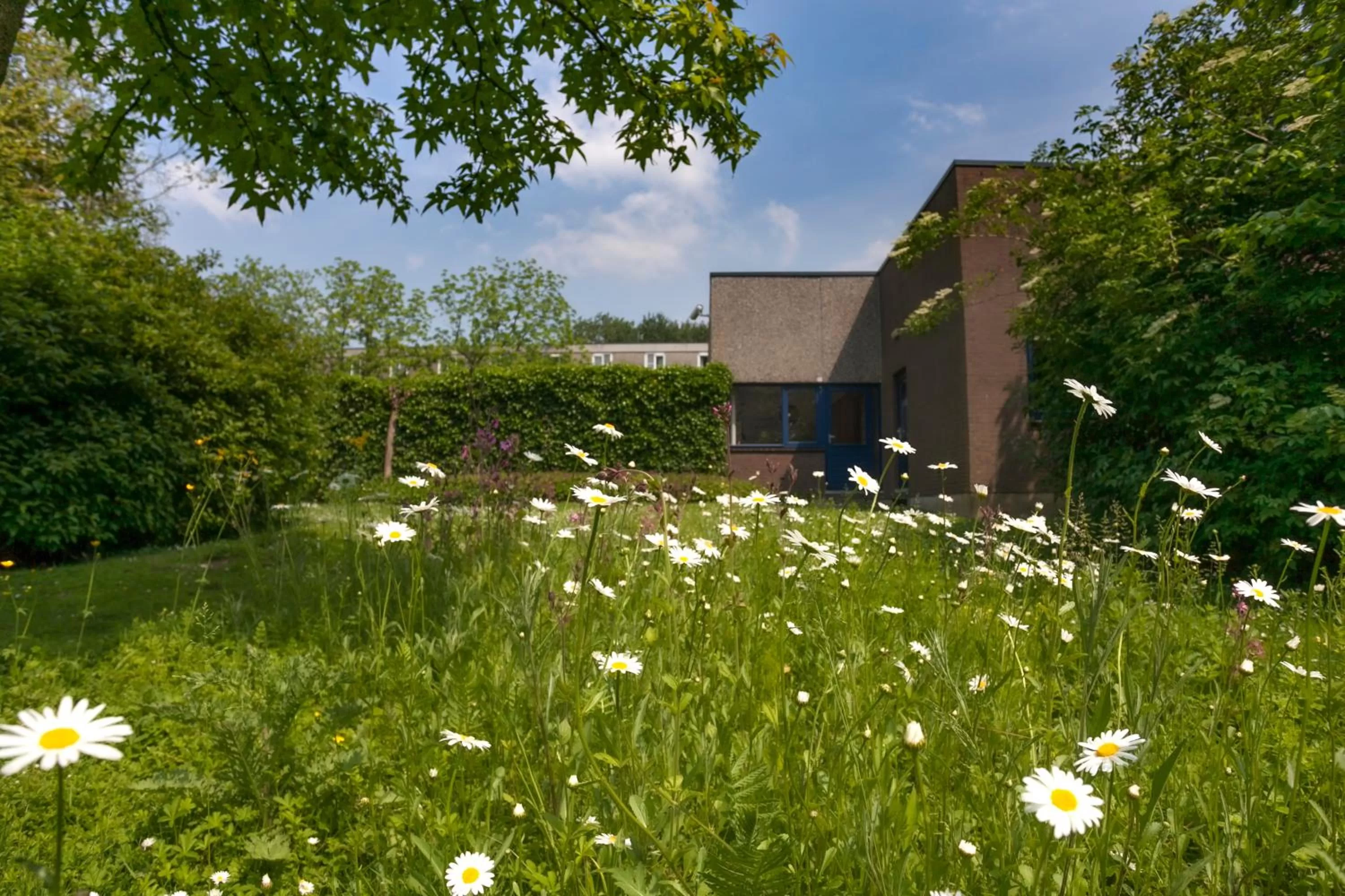Garden in Novotel Rotterdam - Schiedam
