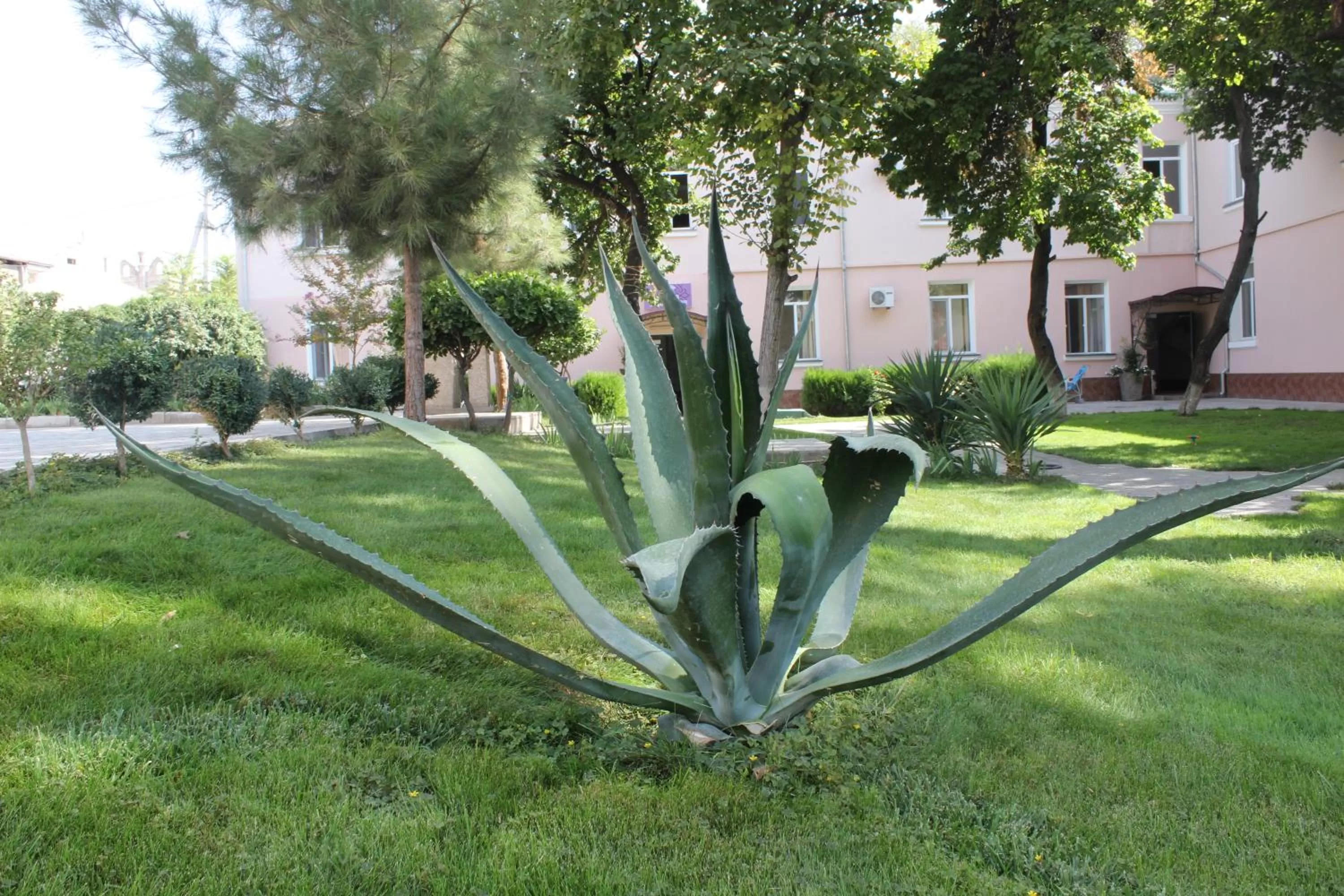 Garden in Armon Apart Hotel