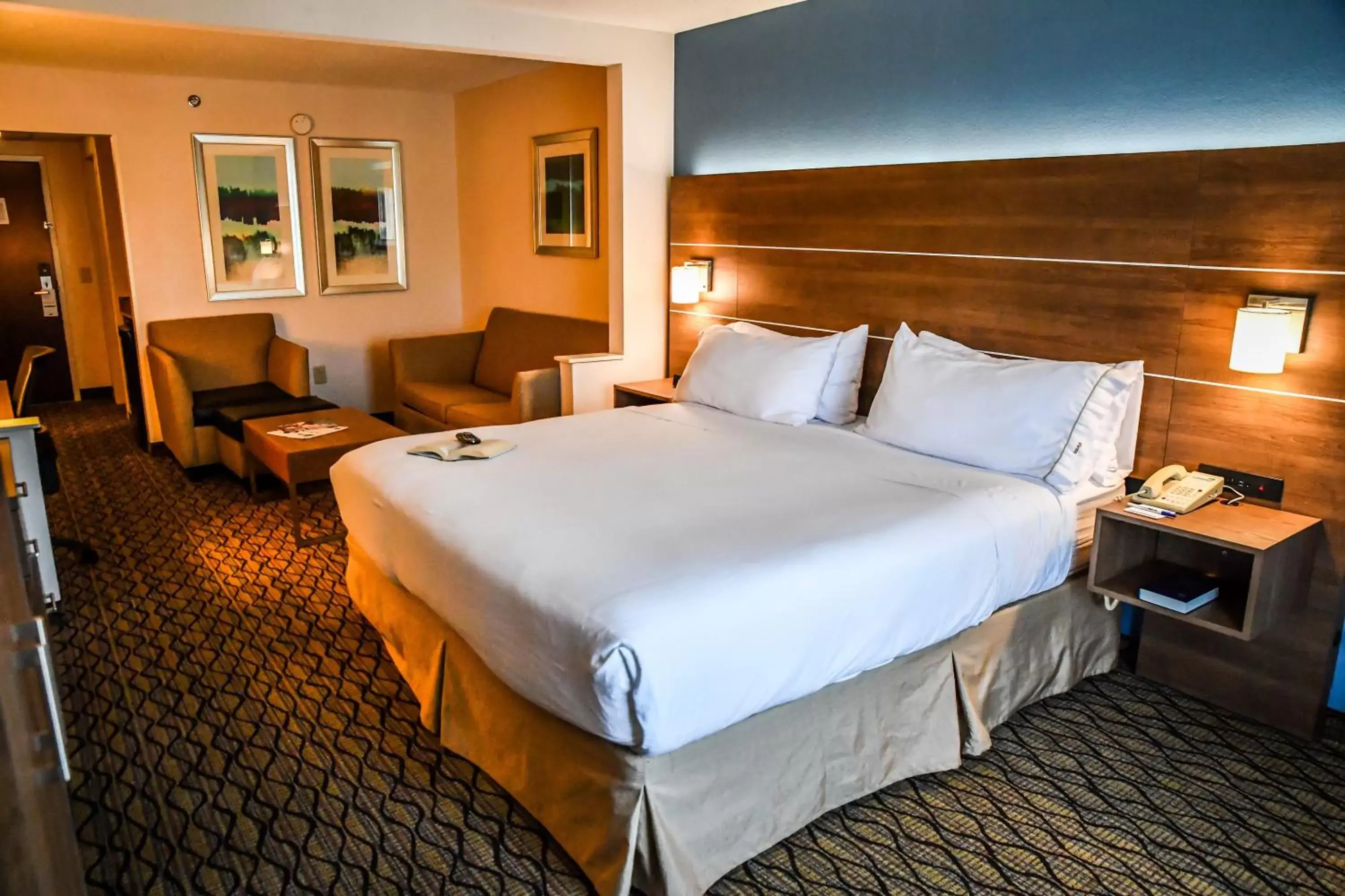 Photo of the whole room, Bed in Holiday Inn Express Hotel & Suites - Concord, an IHG Hotel