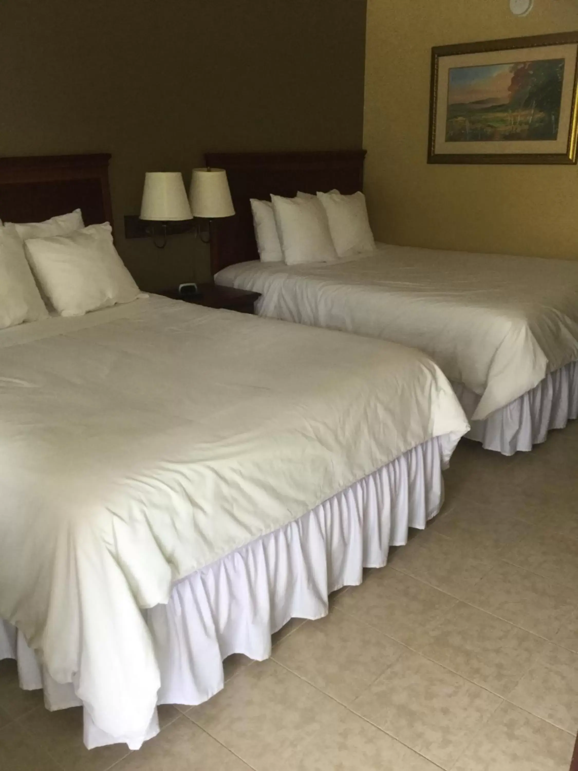 Bed in Murphy Motel