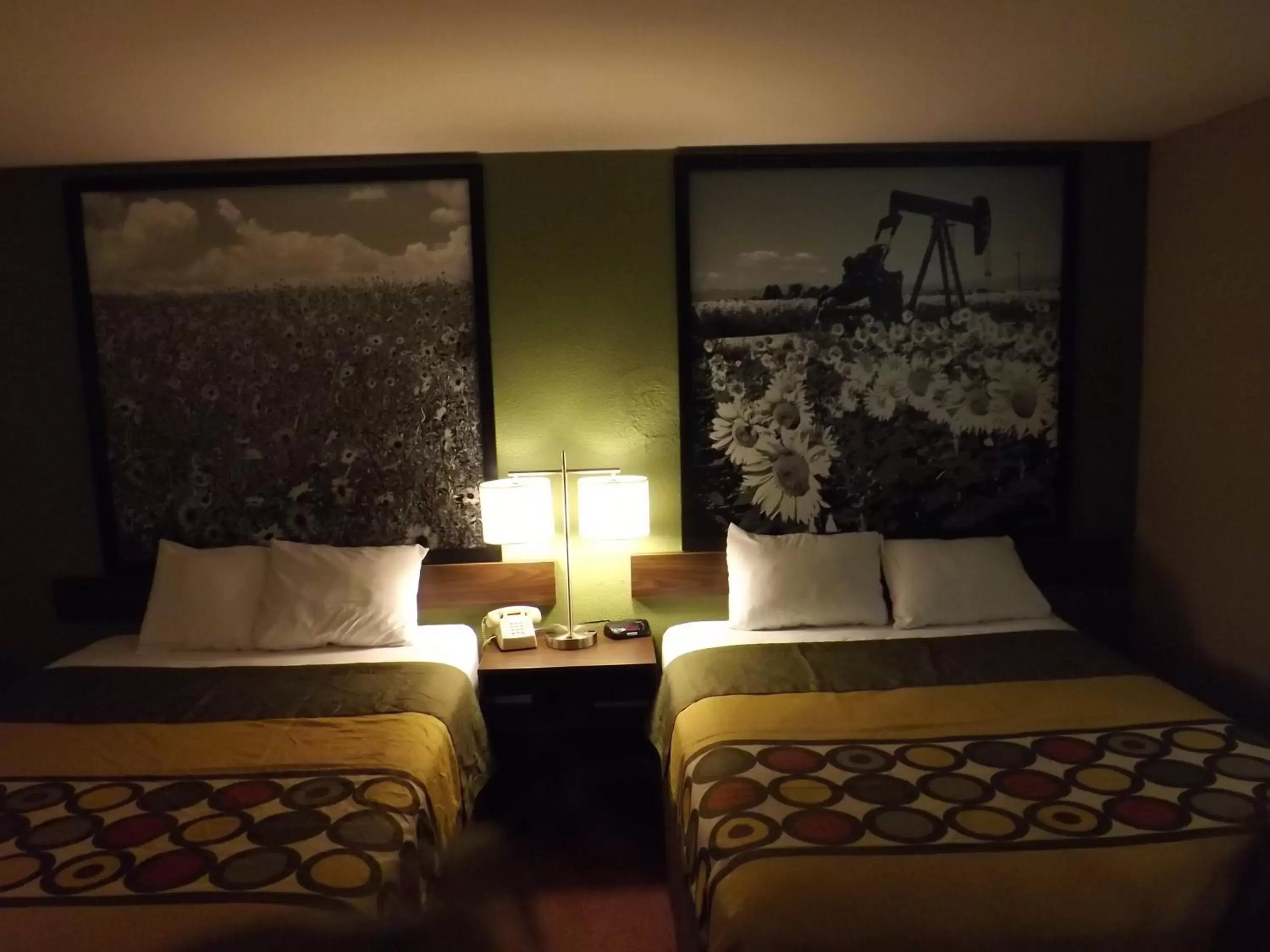 Bed, Room Photo in Super 8 by Wyndham Sterling CO