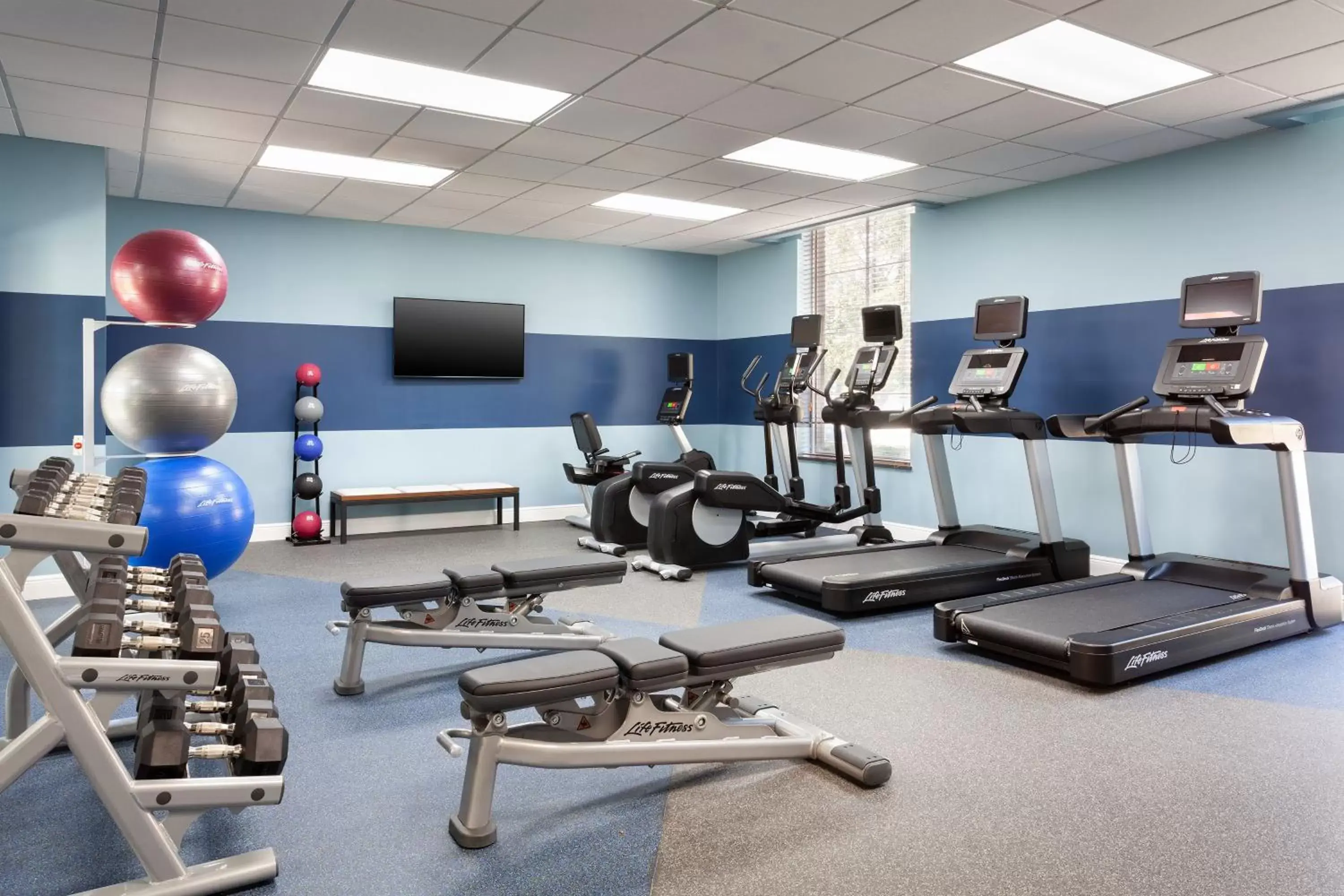 Fitness centre/facilities, Fitness Center/Facilities in Four Points by Sheraton Orlando Convention Center