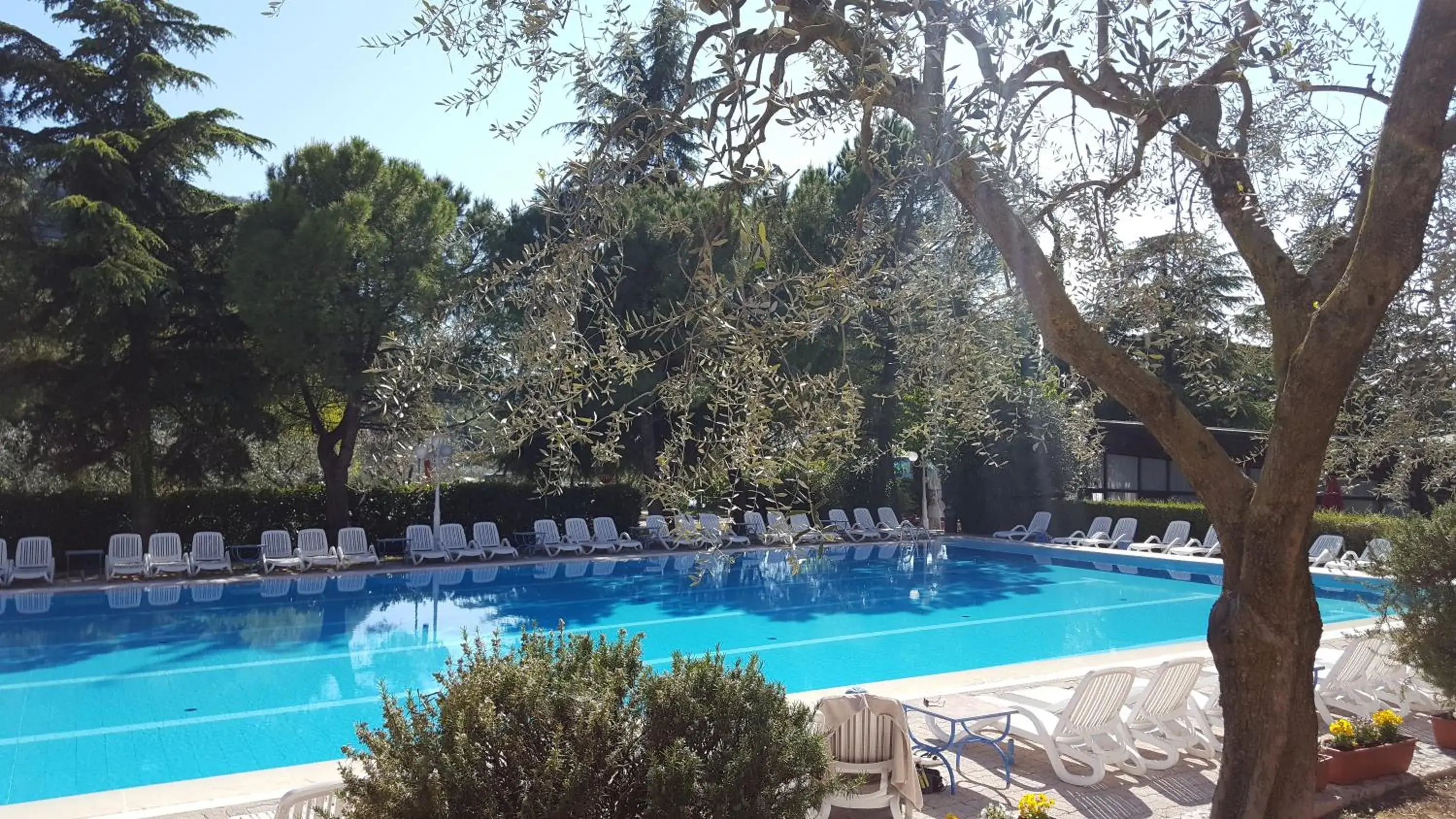 Swimming Pool in Hotel Royal