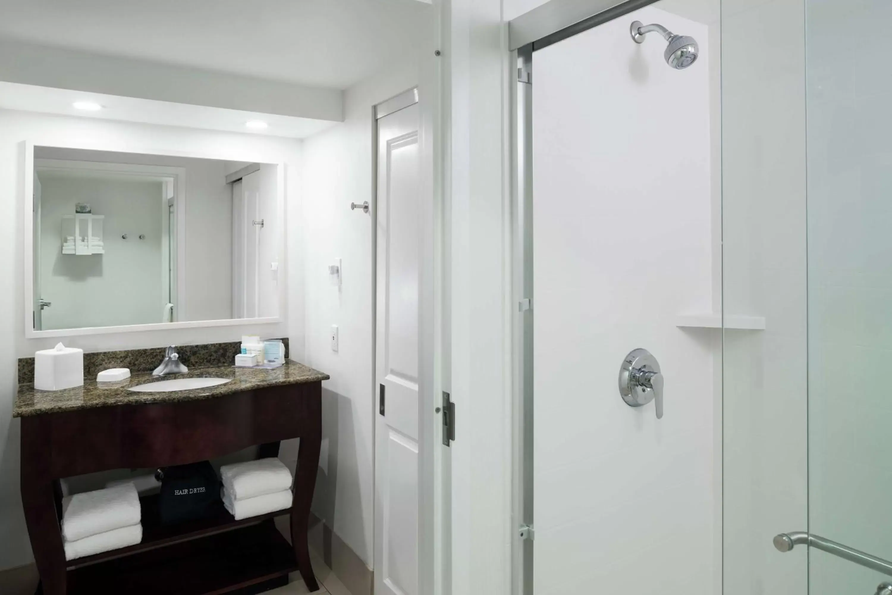 Bathroom in Hampton Inn & Suites Memphis-Beale Street