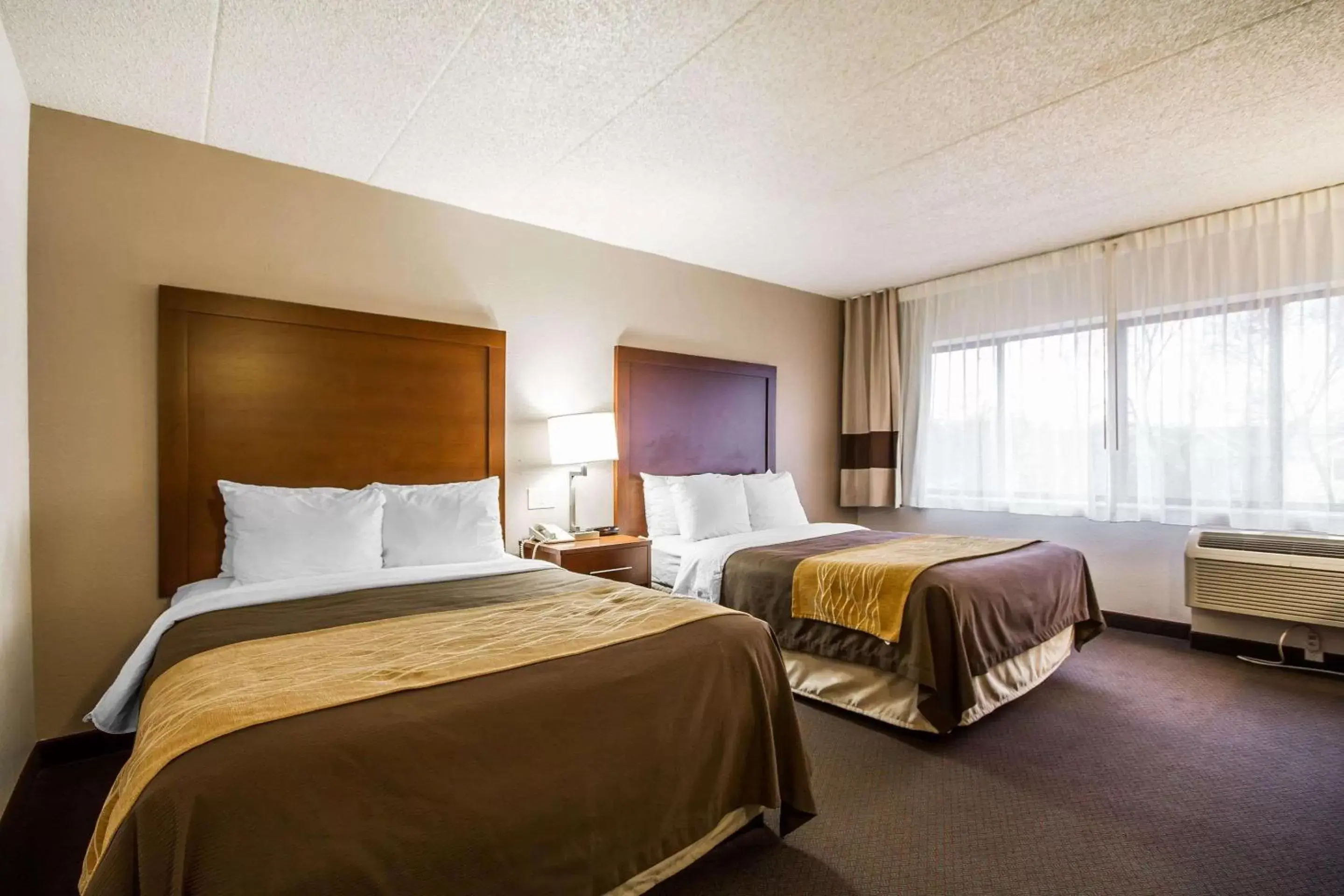 Photo of the whole room, Bed in Comfort Inn & Suites Madison - Airport
