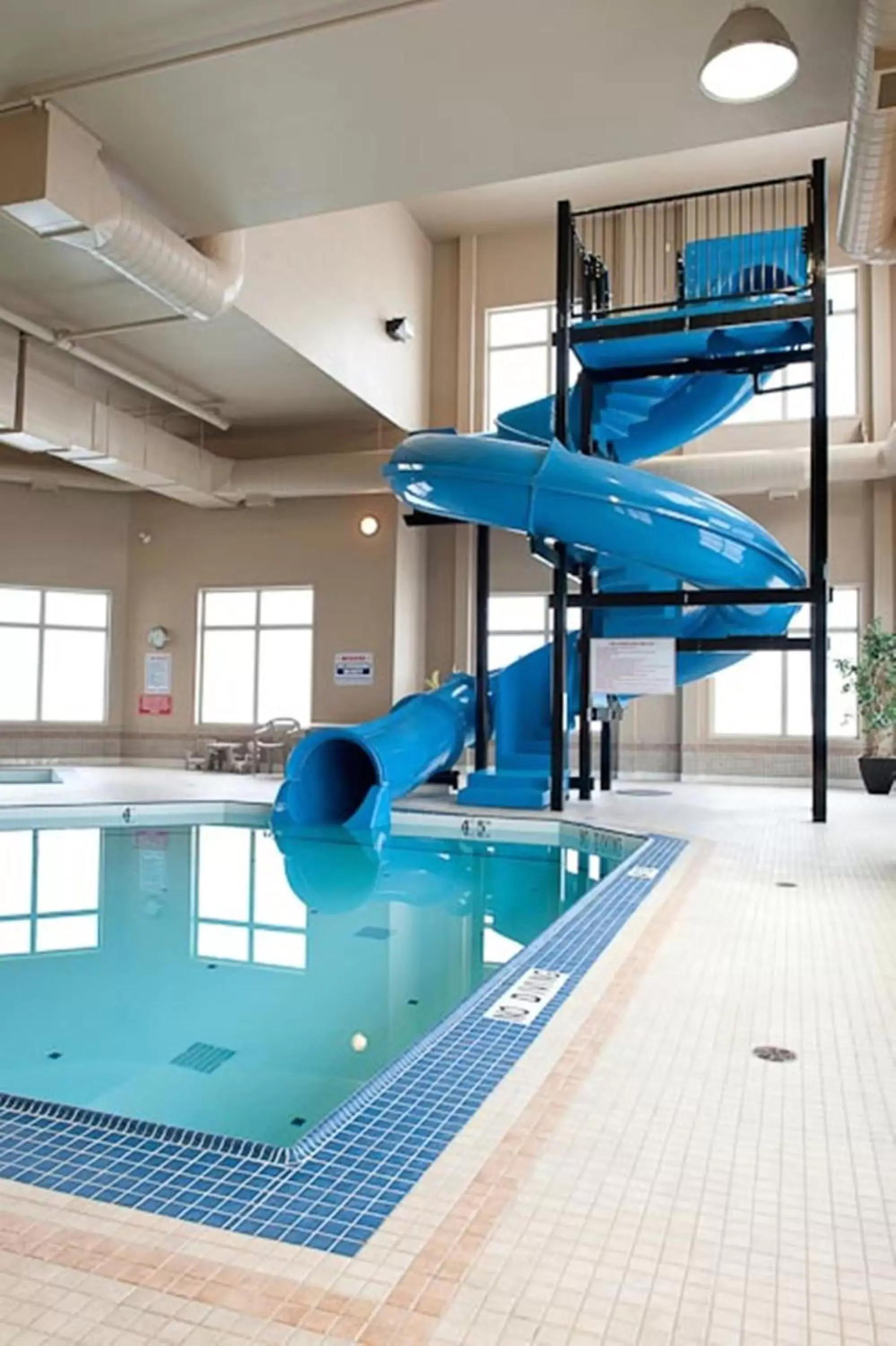 Swimming Pool in Paradise Inn and Suites