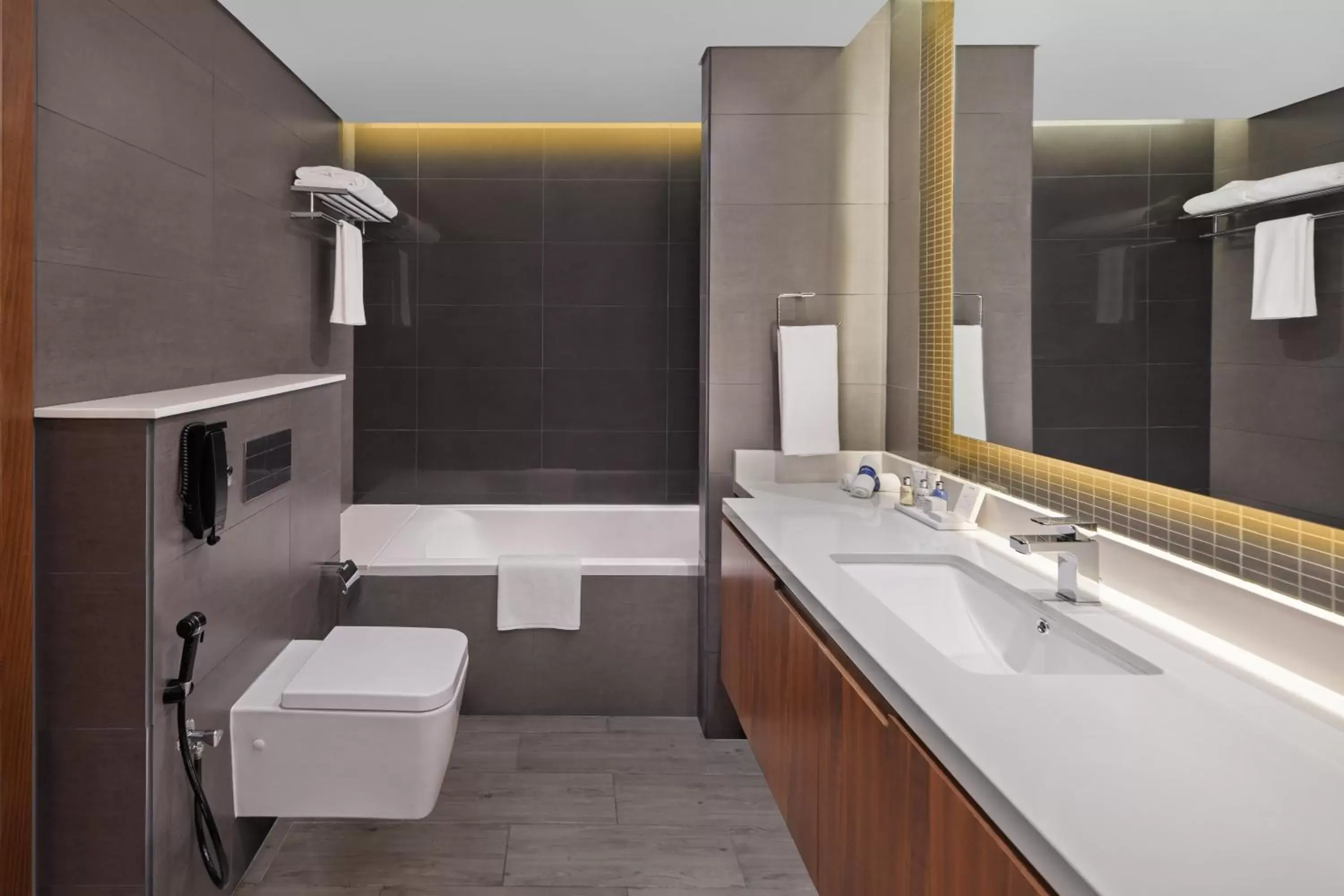 Bathroom in Radisson Blu Hotel, Dubai Canal View