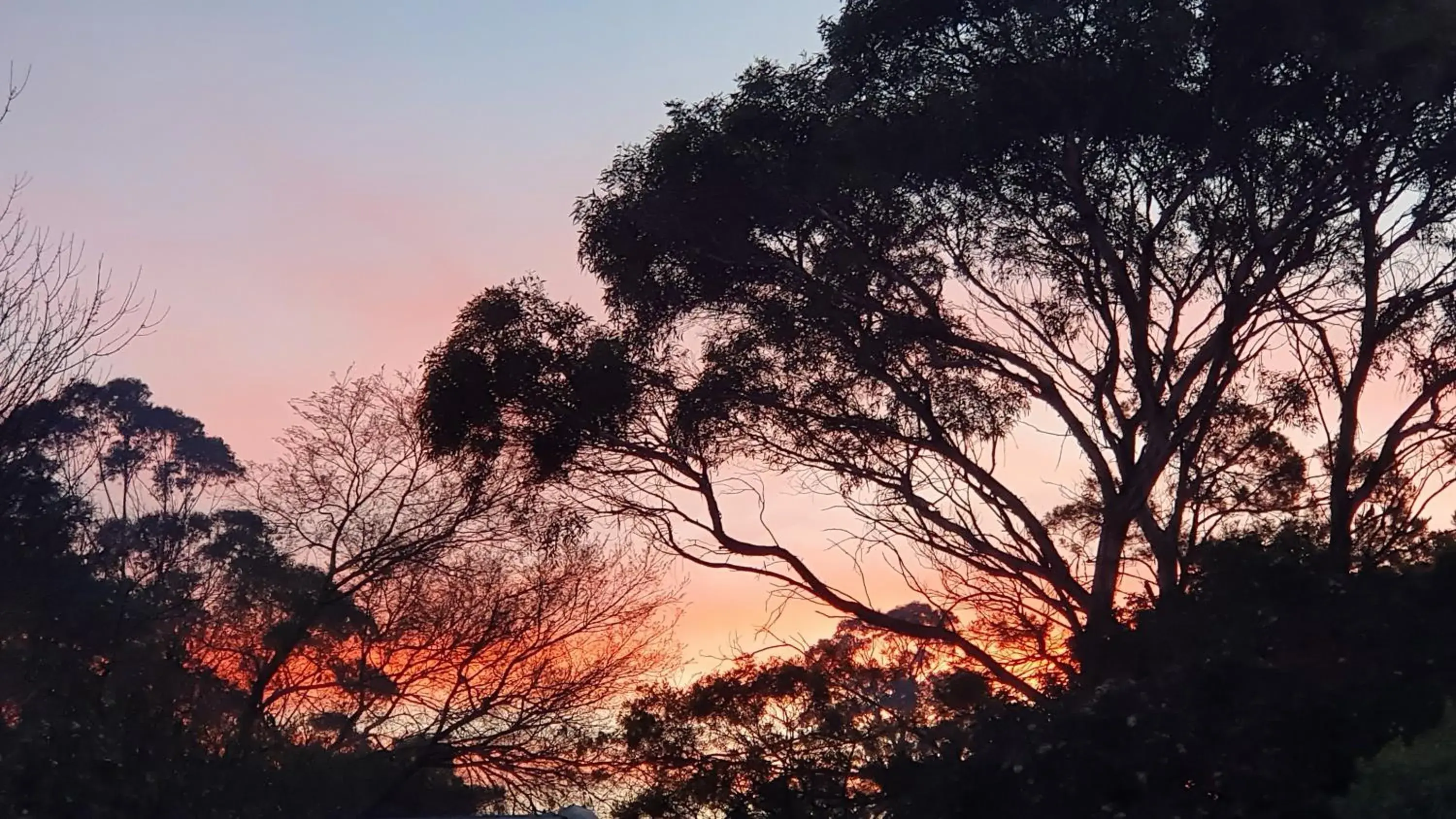 Spring, Sunrise/Sunset in Amble at Hahndorf