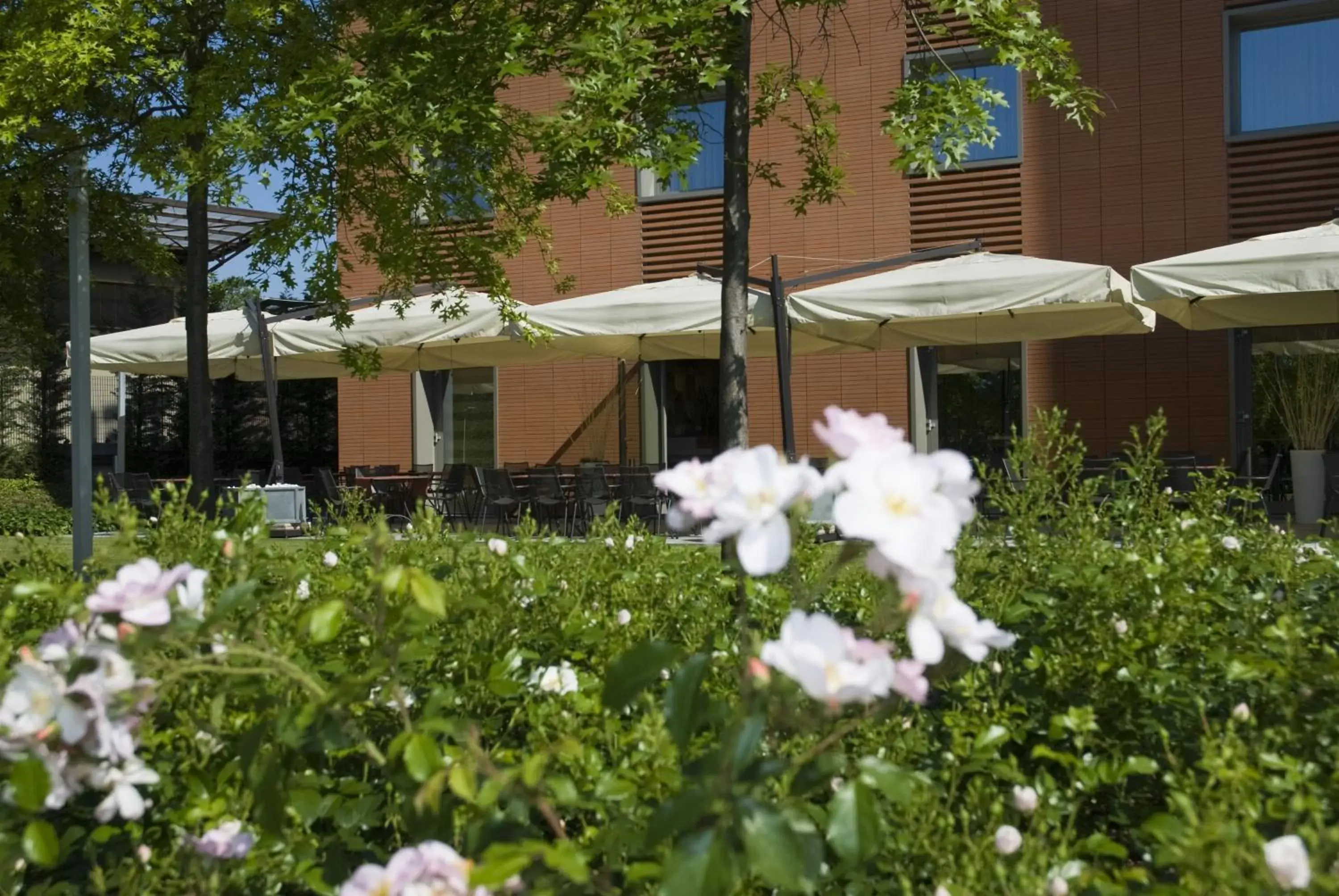 Garden, Property Building in Hotel Cruise