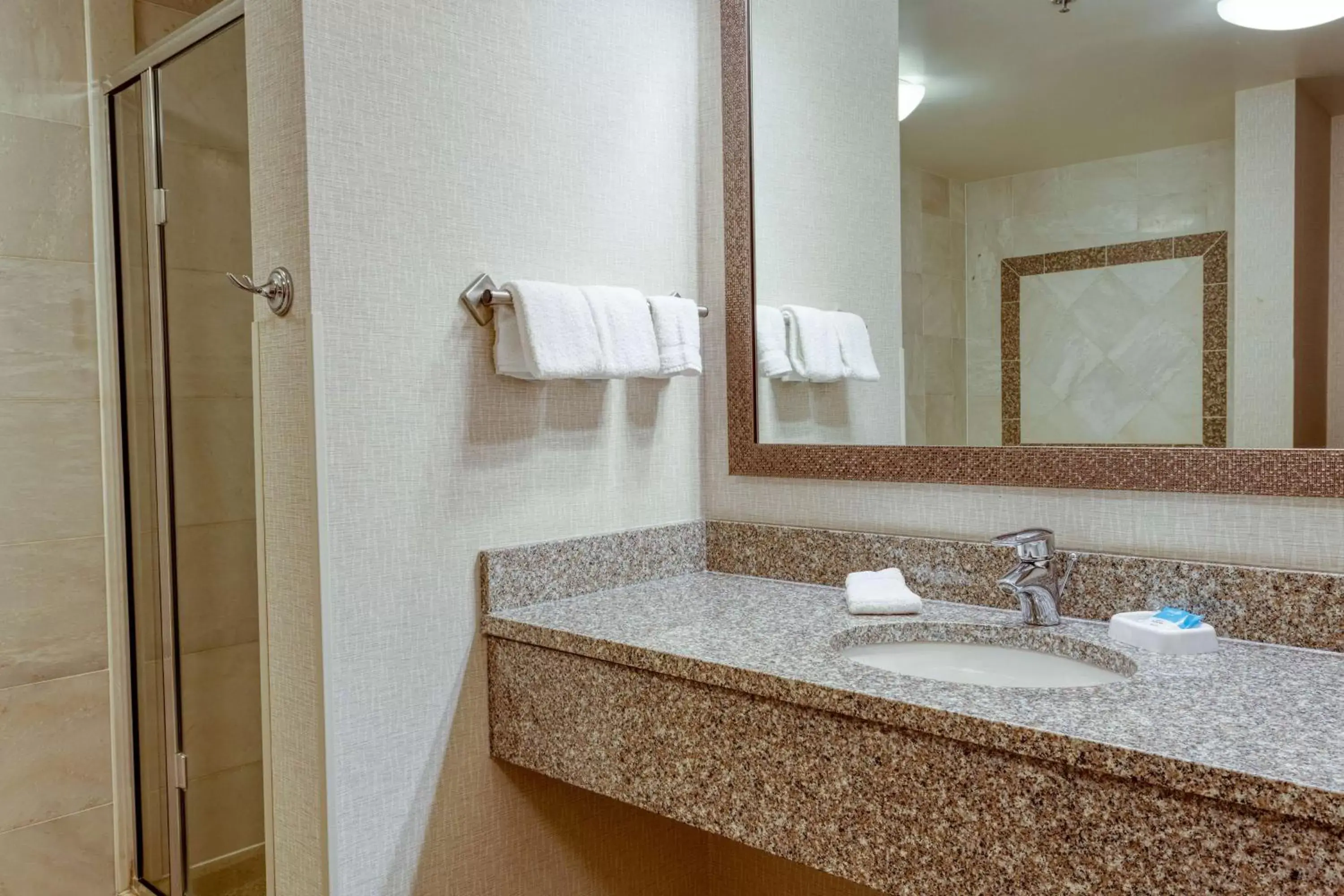 Bathroom in Drury Inn & Suites Indianapolis Northeast