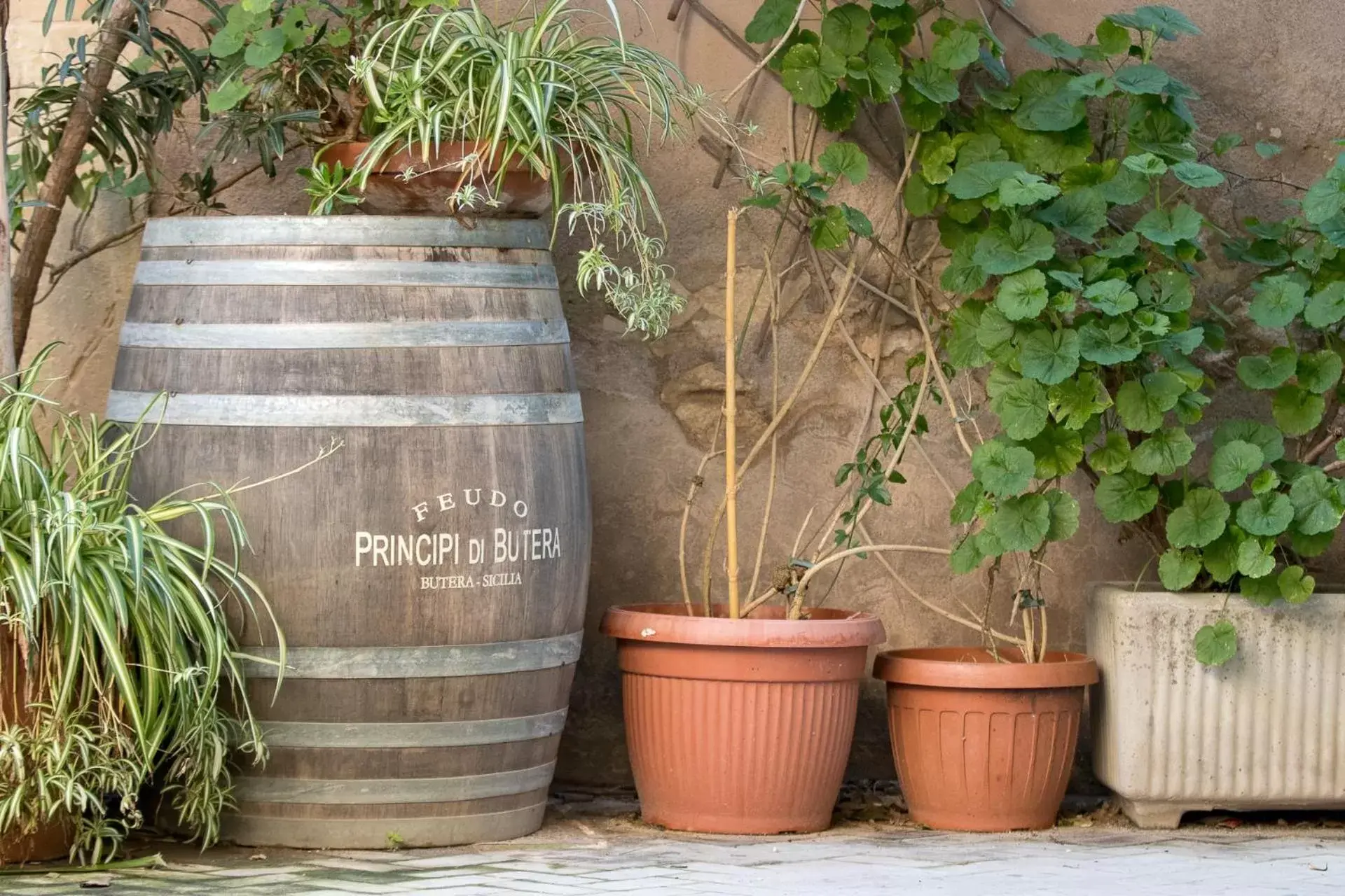 Decorative detail in Residence Ortigia Decorative detail in Residence Ortigia