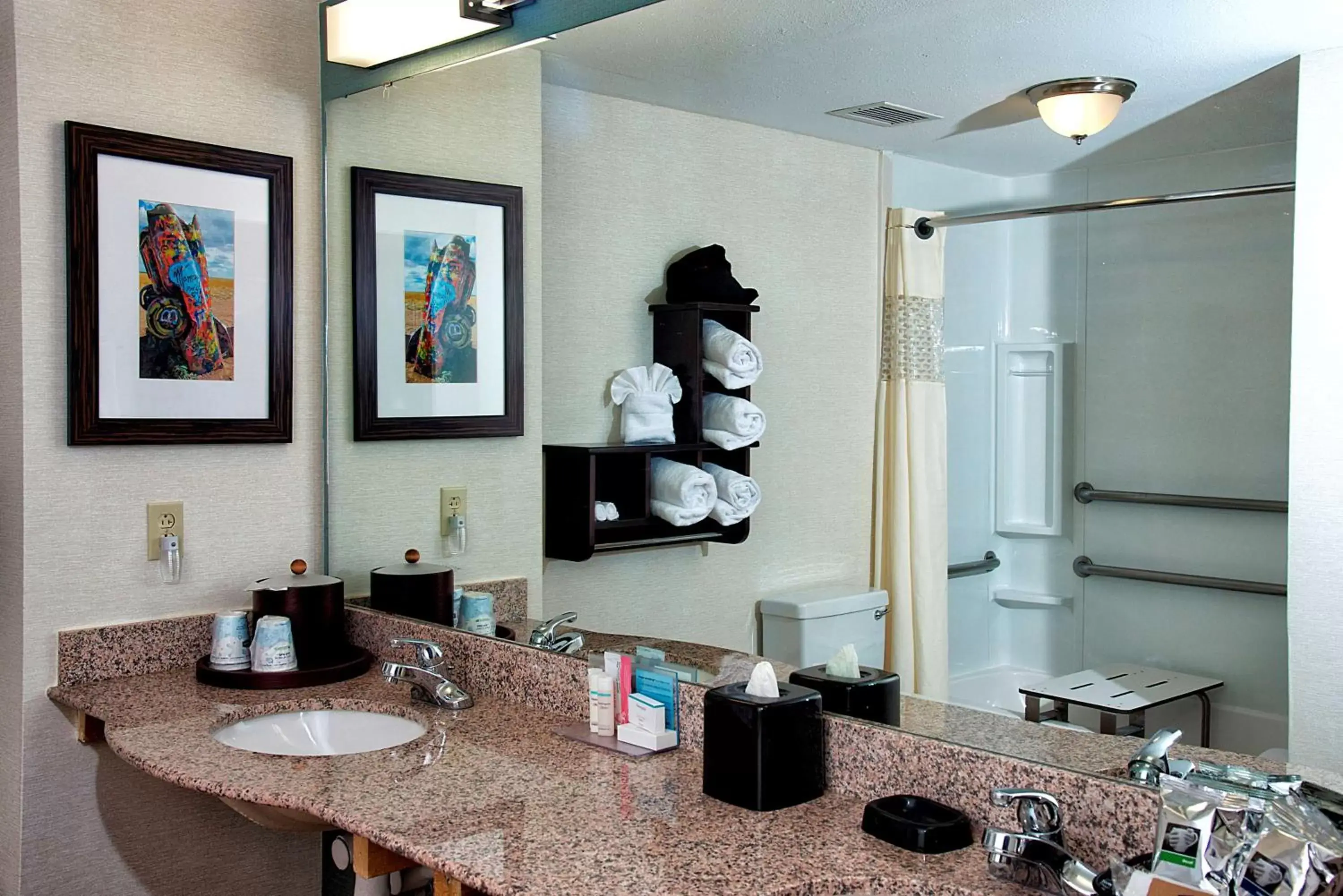 Bathroom, Kitchen/Kitchenette in Hampton Inn and Suites Amarillo West