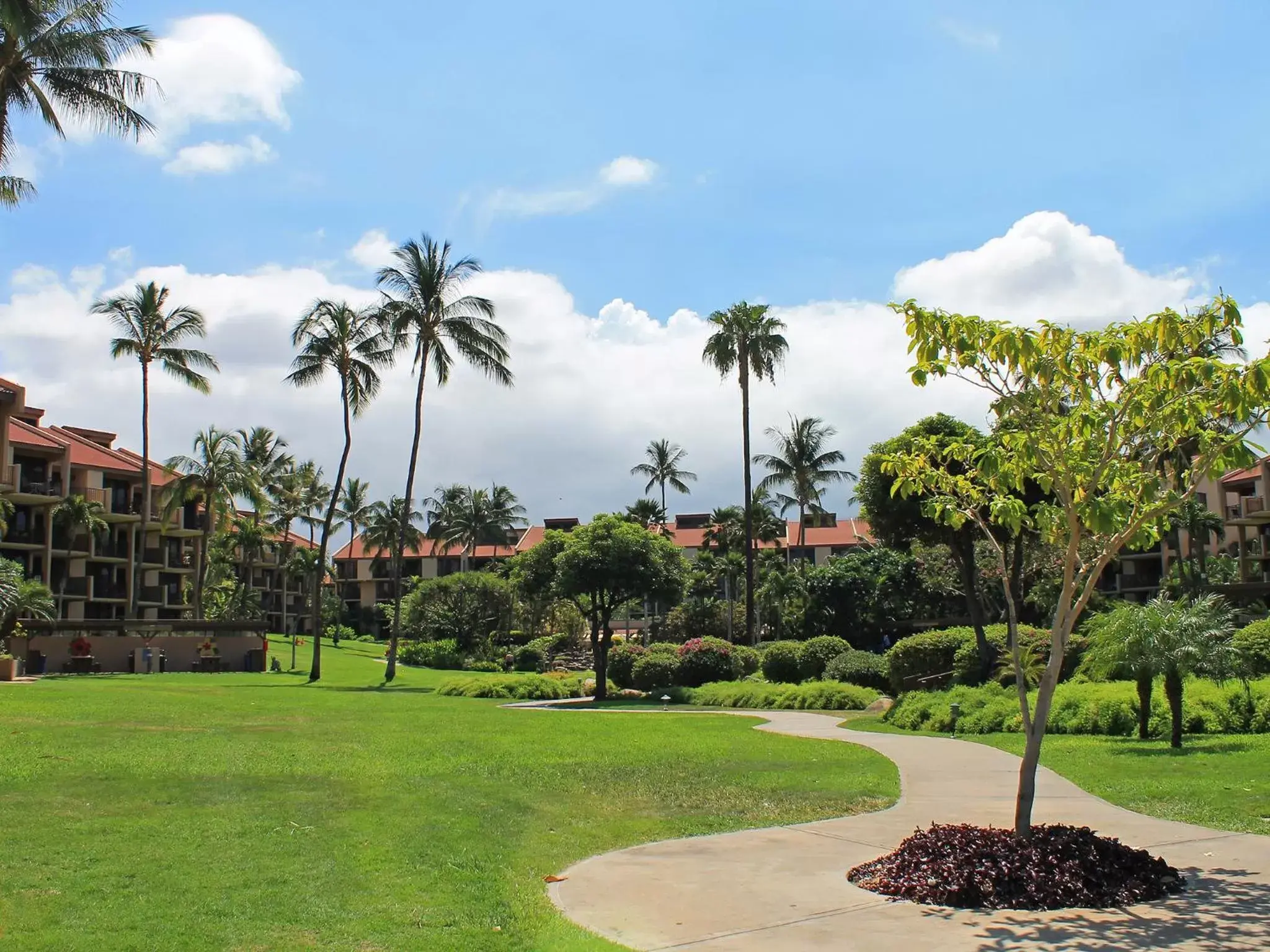 Garden in Castle Kamaole Sands