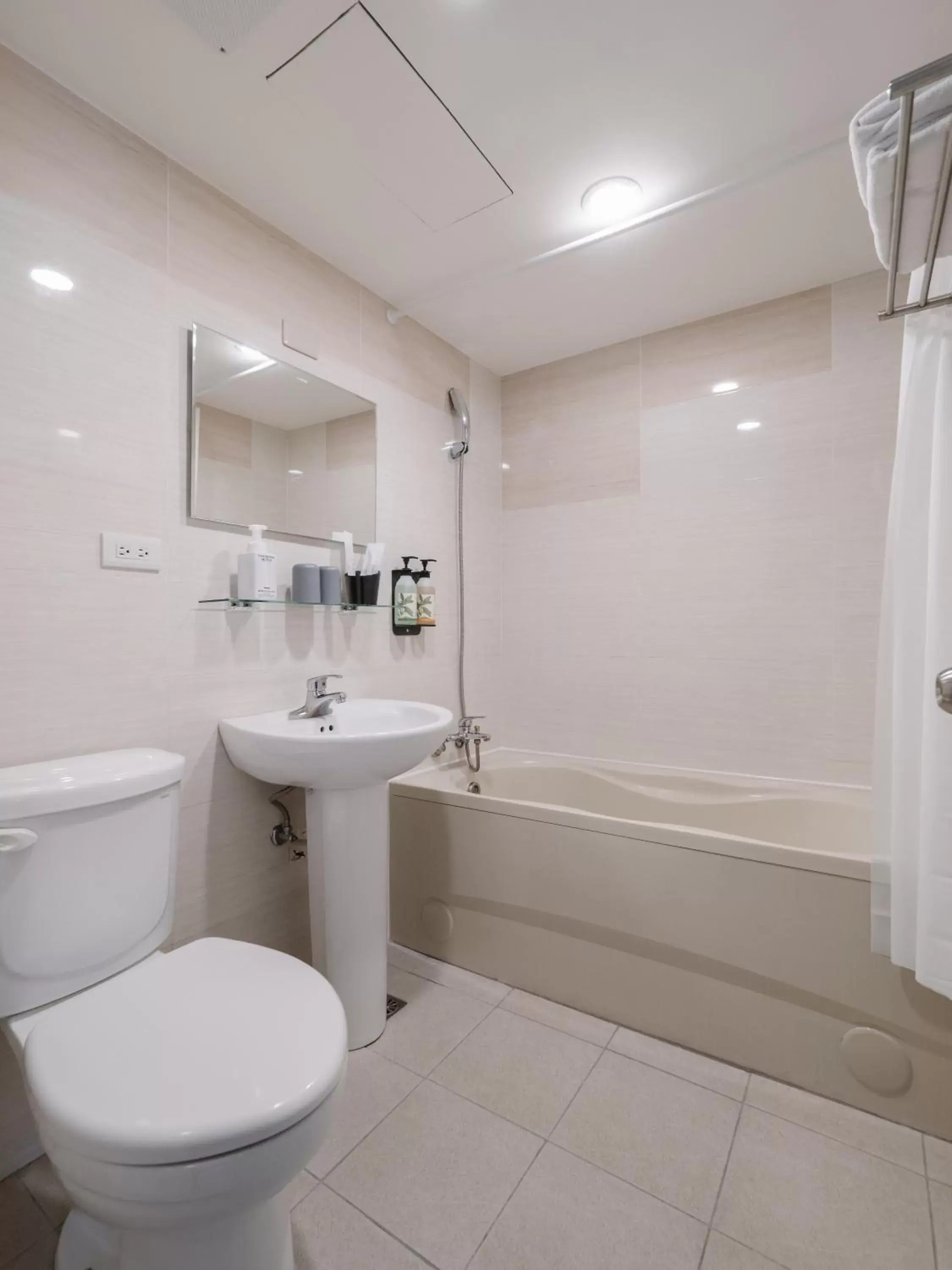 Bathroom in Hotel attic