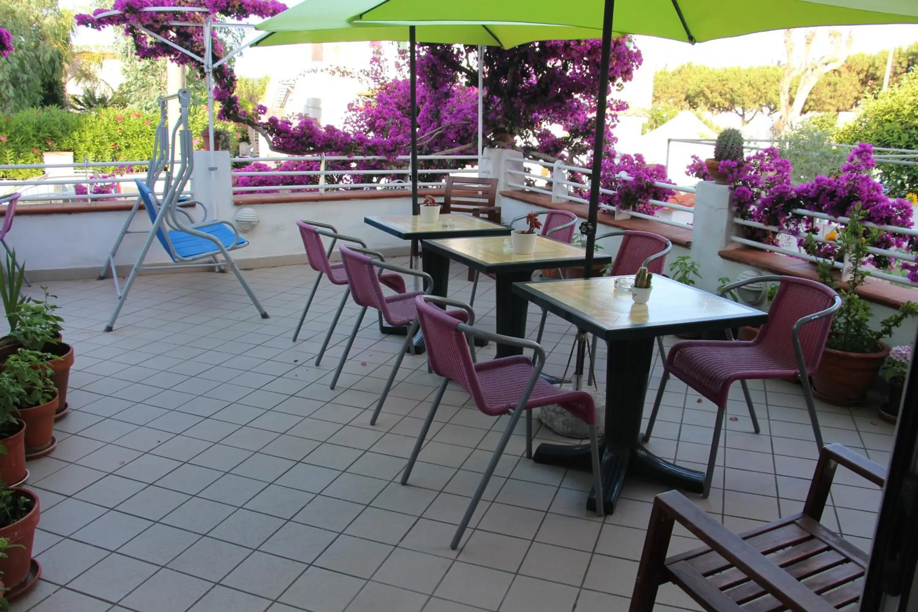 Restaurant/places to eat in Hotel Villa Cecilia Restaurant/places to eat in Hotel Villa Cecilia