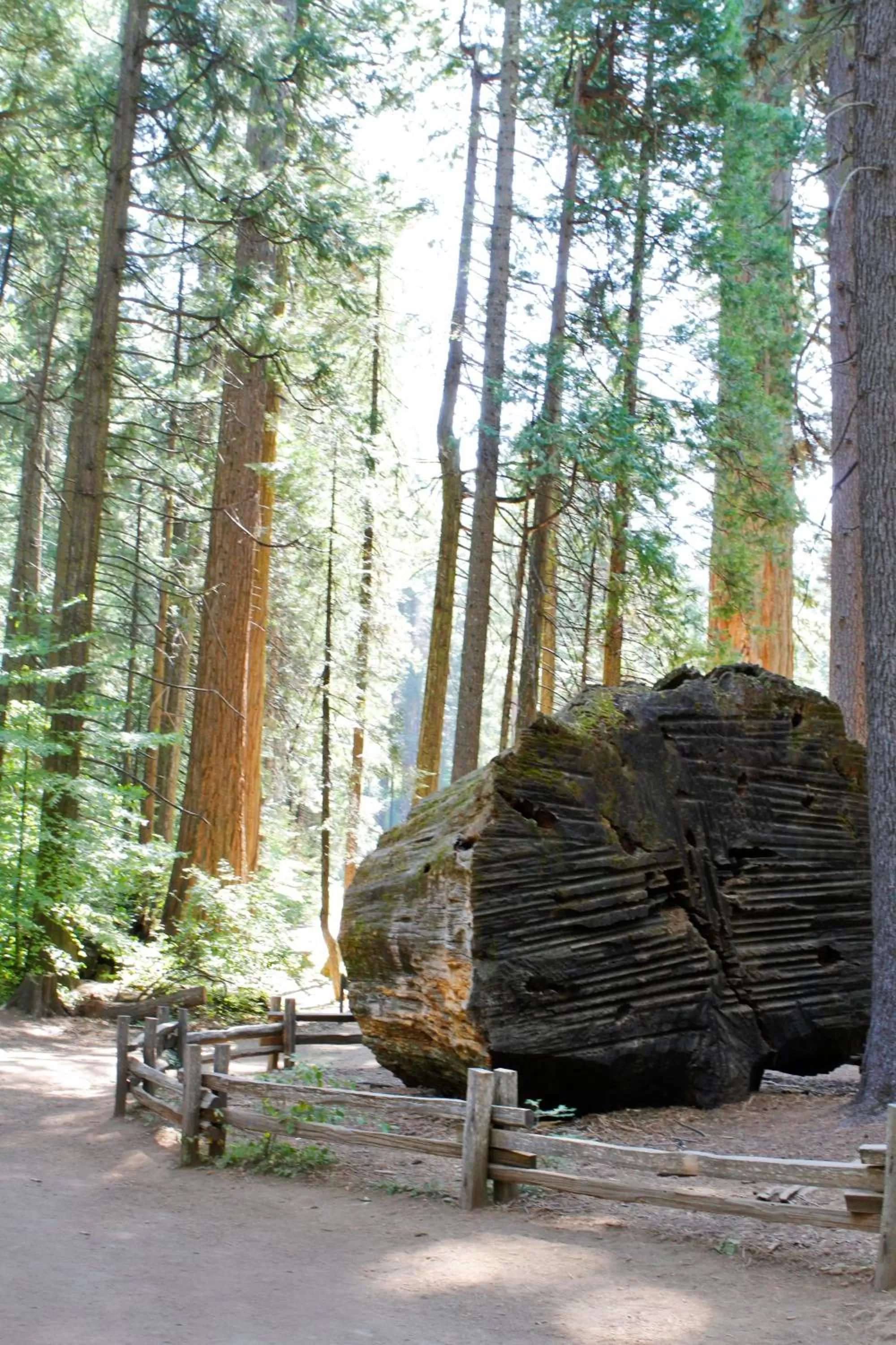 Nearby landmark in Mountain Retreat Resort