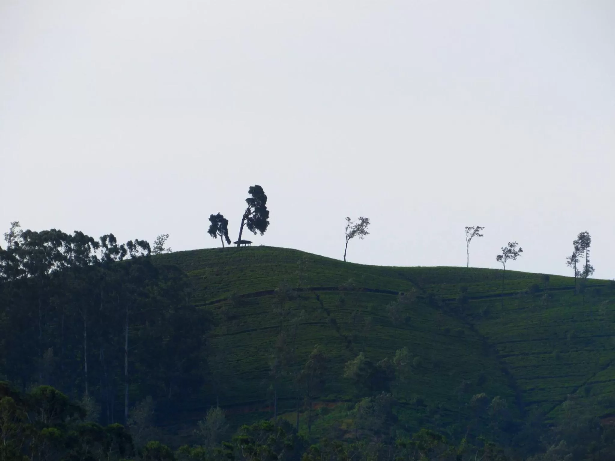 Mountain view in Ornateview Hotel