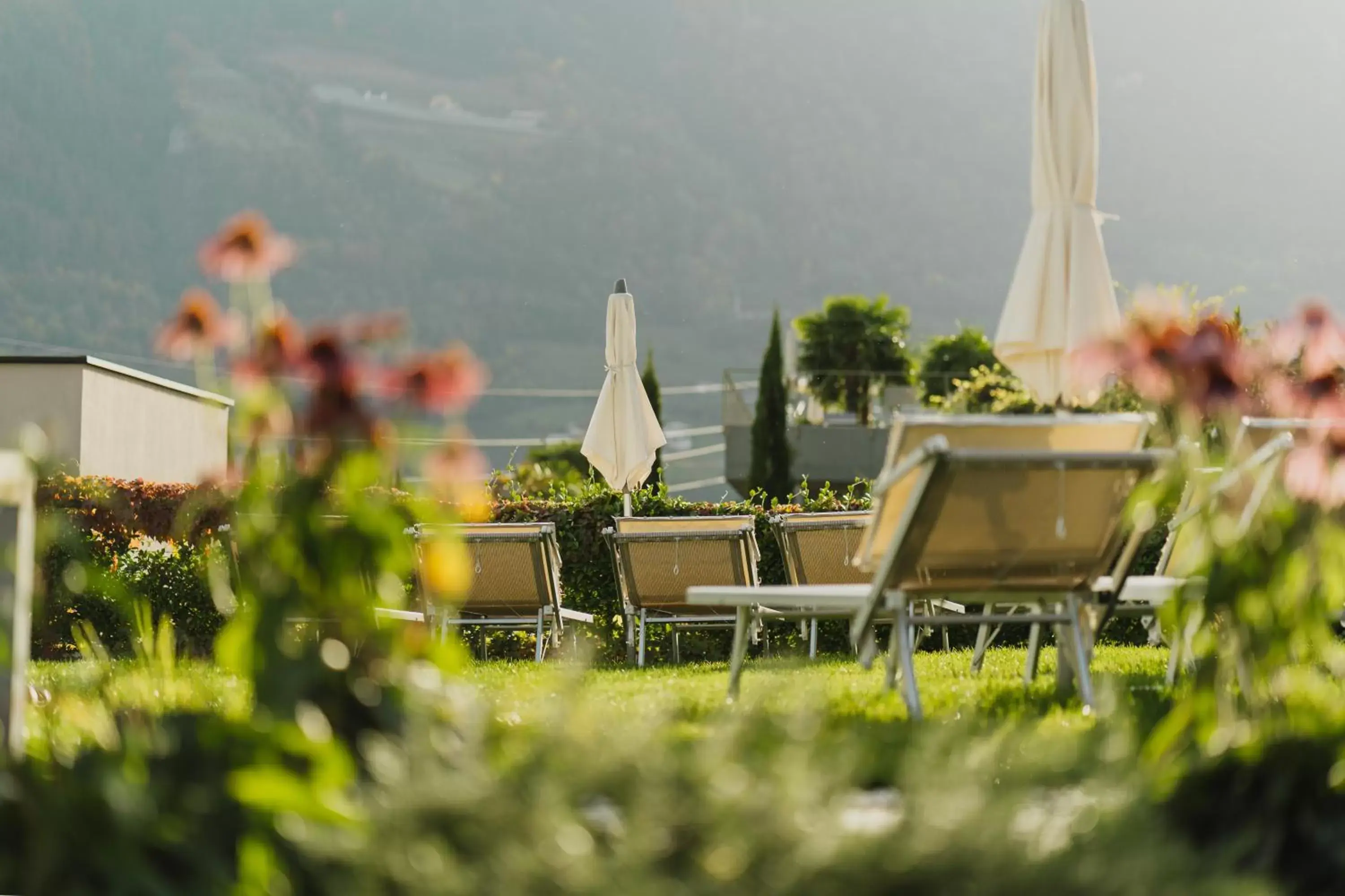 Garden in Hotel Der Heinrichshof