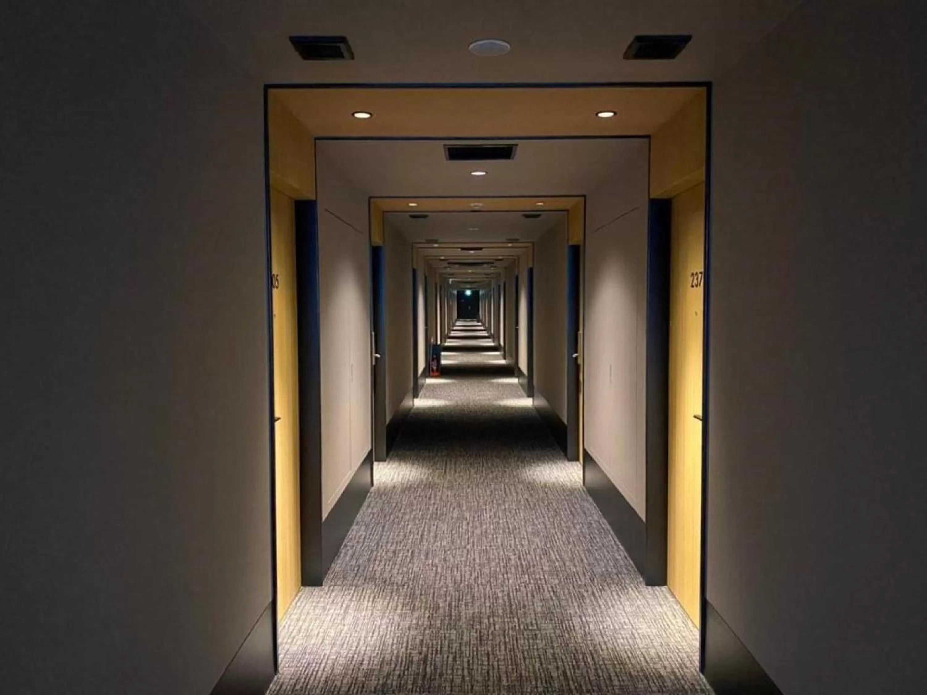 Area and facilities in Henn na Hotel Kansai Airport