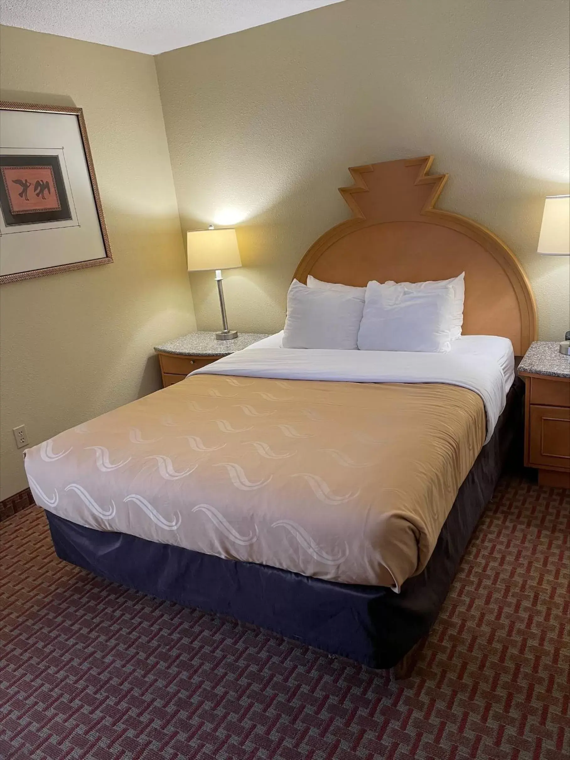 Bed in Quality Inn & Suites Greenfield I-70