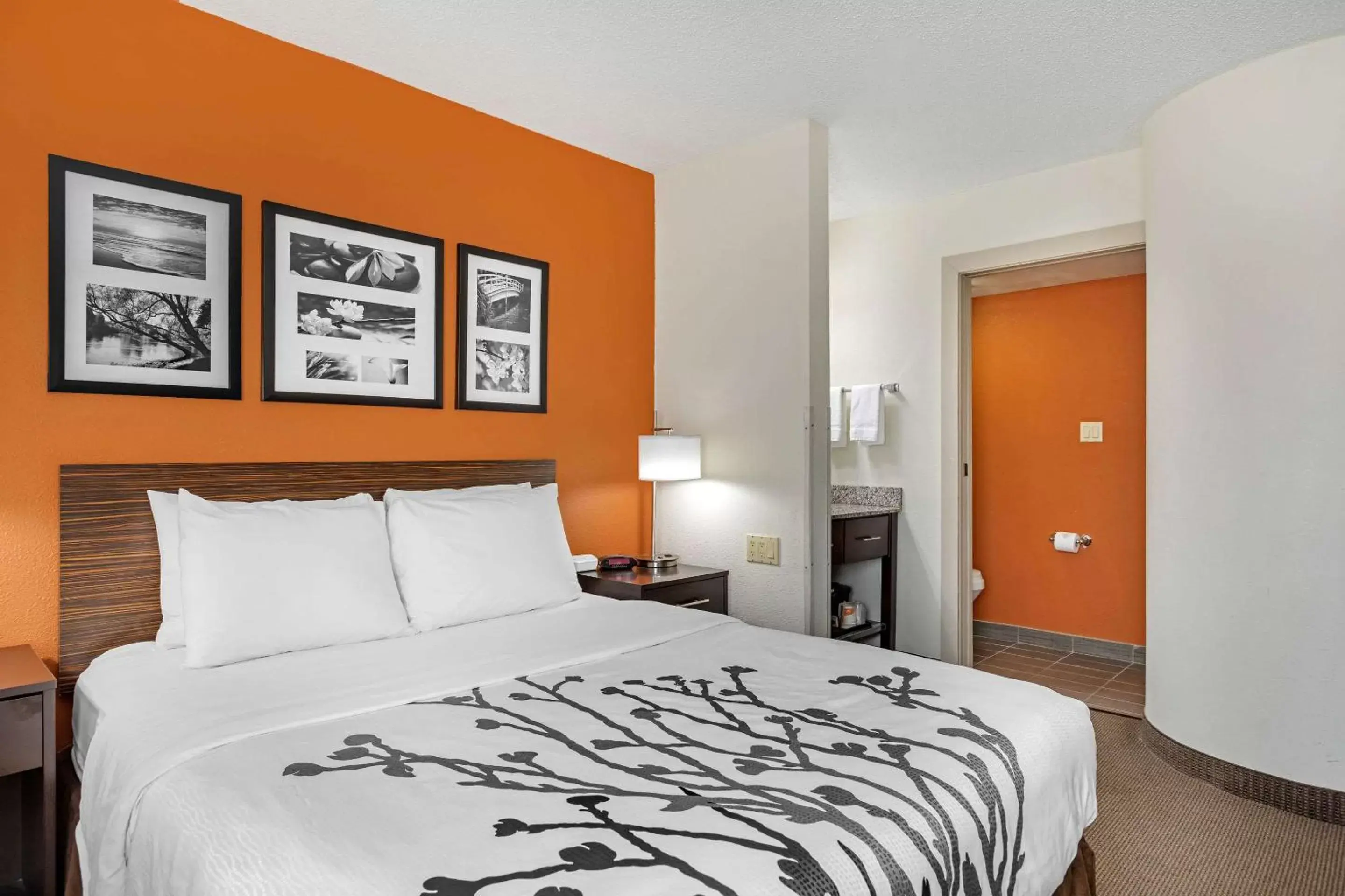 Photo of the whole room, Bed in Sleep Inn DeWitt - Lansing North Photo of the whole room, Bed in Sleep Inn DeWitt - Lansing North