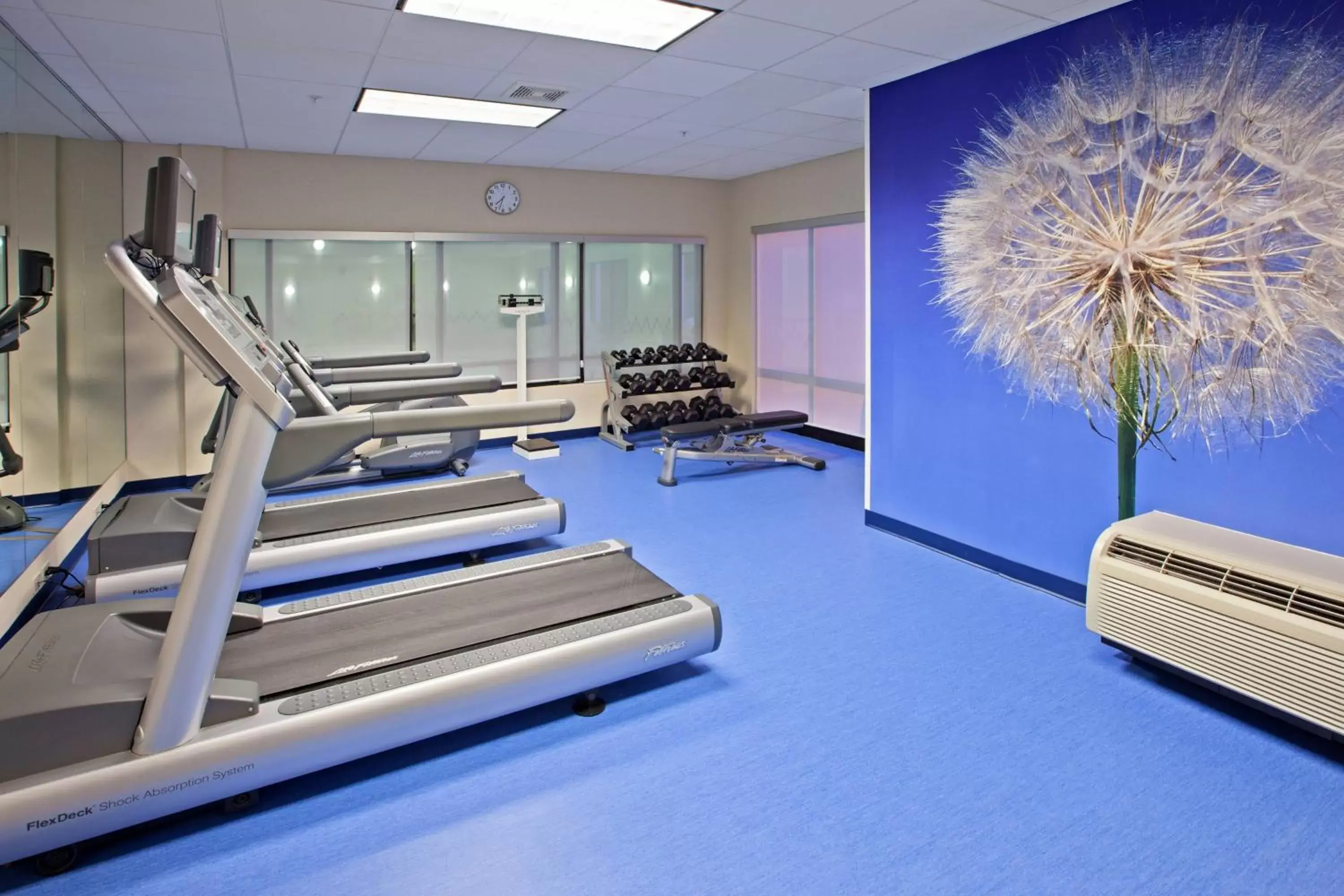 Fitness centre/facilities, Fitness Center/Facilities in SpringHill Suites Louisville Hurstbourne/North