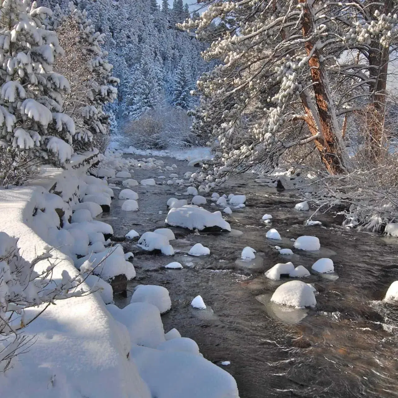 Winter in Romantic RiverSong Inn