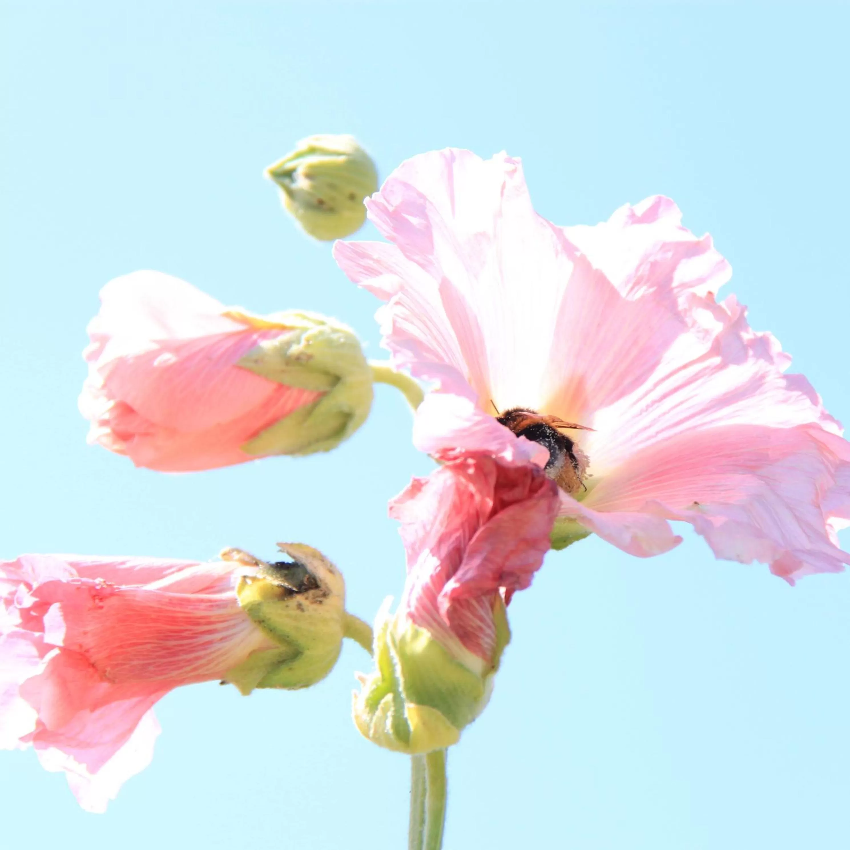 Property building, Spa/Wellness in Studio Art-hill